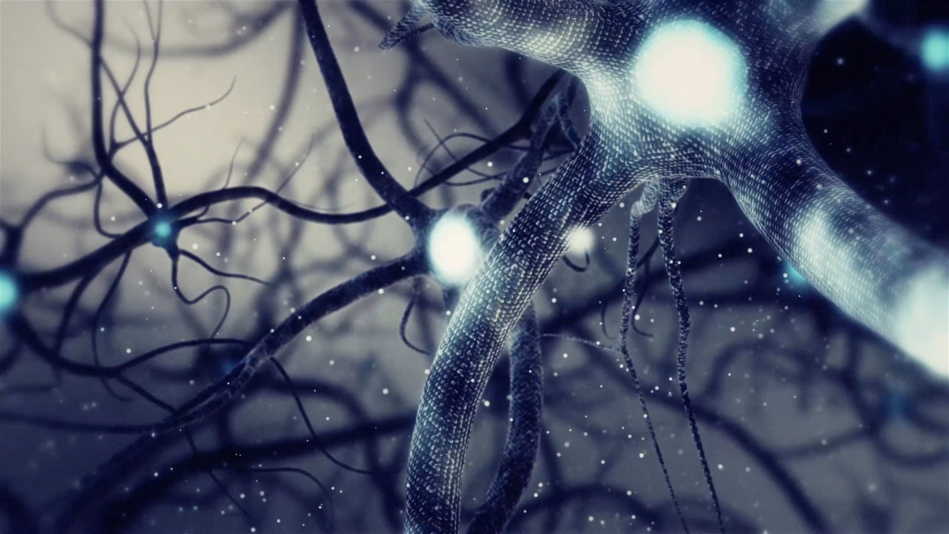 1920x1080 Real Neuron synapse network 3D animation. Infinite Loop inside the human  brain.