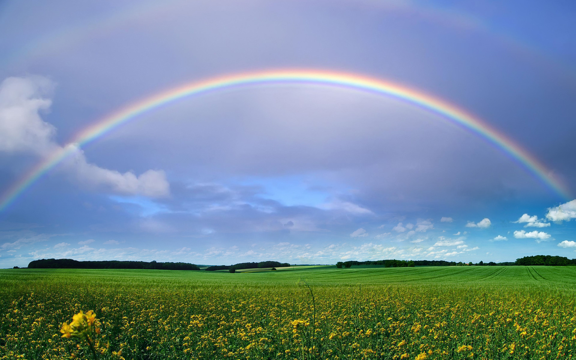 Rainbows And Sunshine