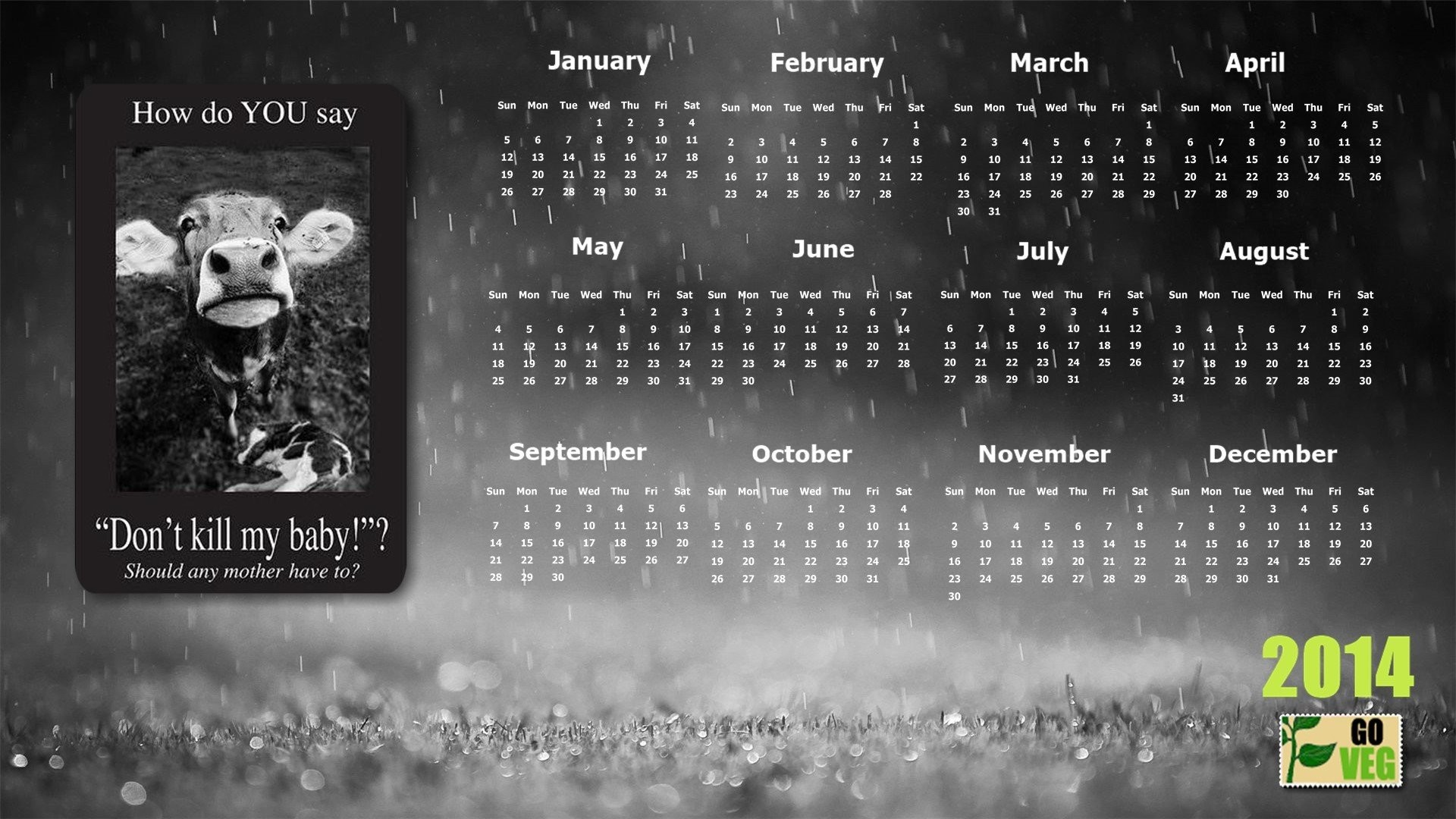 1920x1080 2014 Vegan Calendar 578801