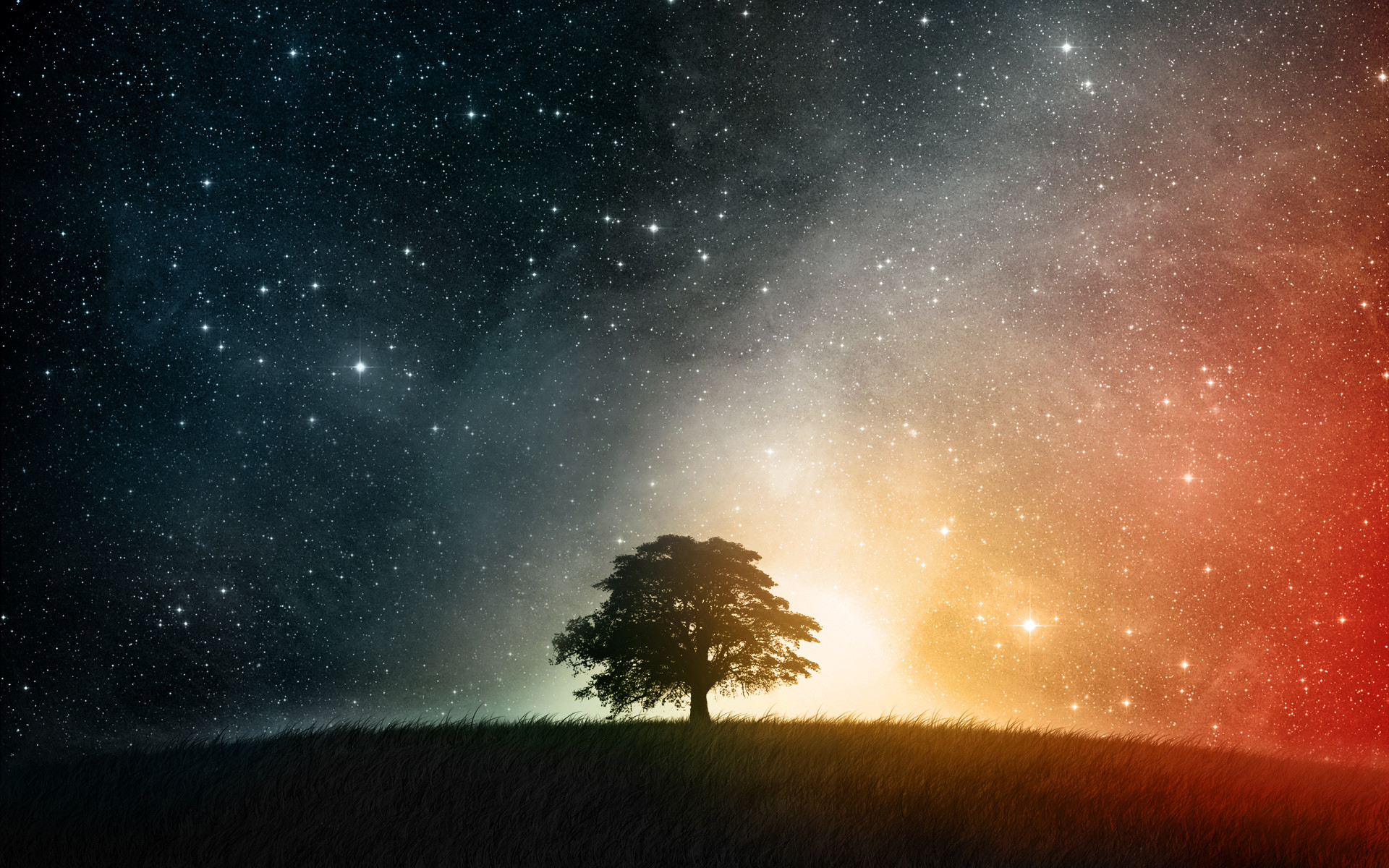 1920x1200 Earth A Dreamy World CGI Landscape Field Grass Sky Light Stars Colors Tree  Cosmos Space Wallpaper