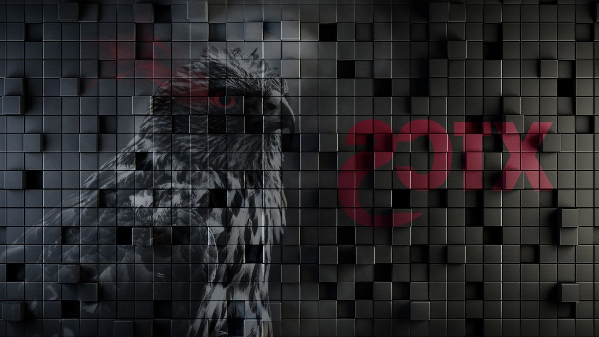 1920x1080 photo manipulation birds dark gray Wallpapers HD / Desktop and Mobile  Backgrounds