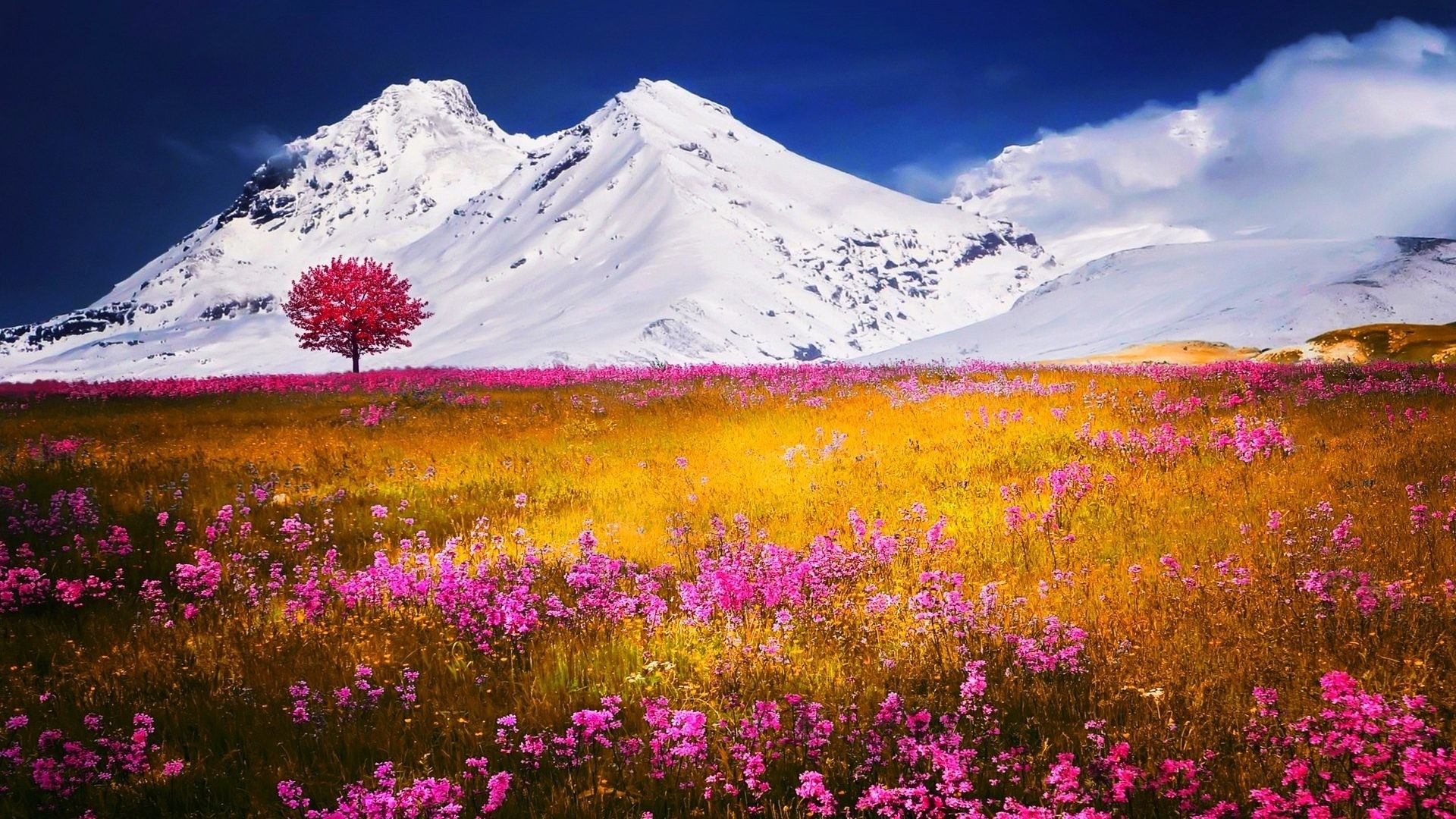 1920x1080 Beautiful Spring Mountains Wallpaper