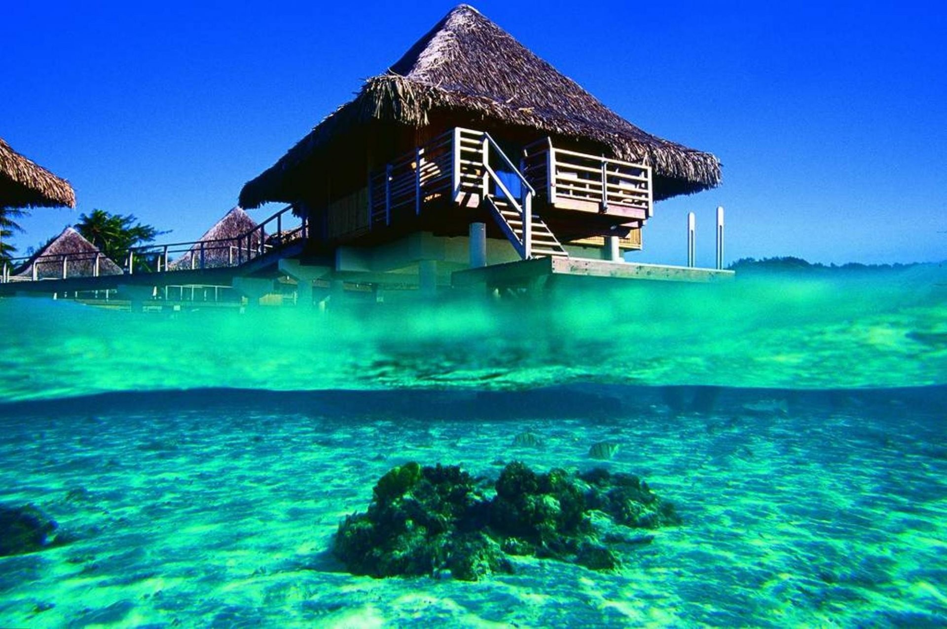 1920x1274 bungalow bora ocean bora-bora french polynesia blue lagoon