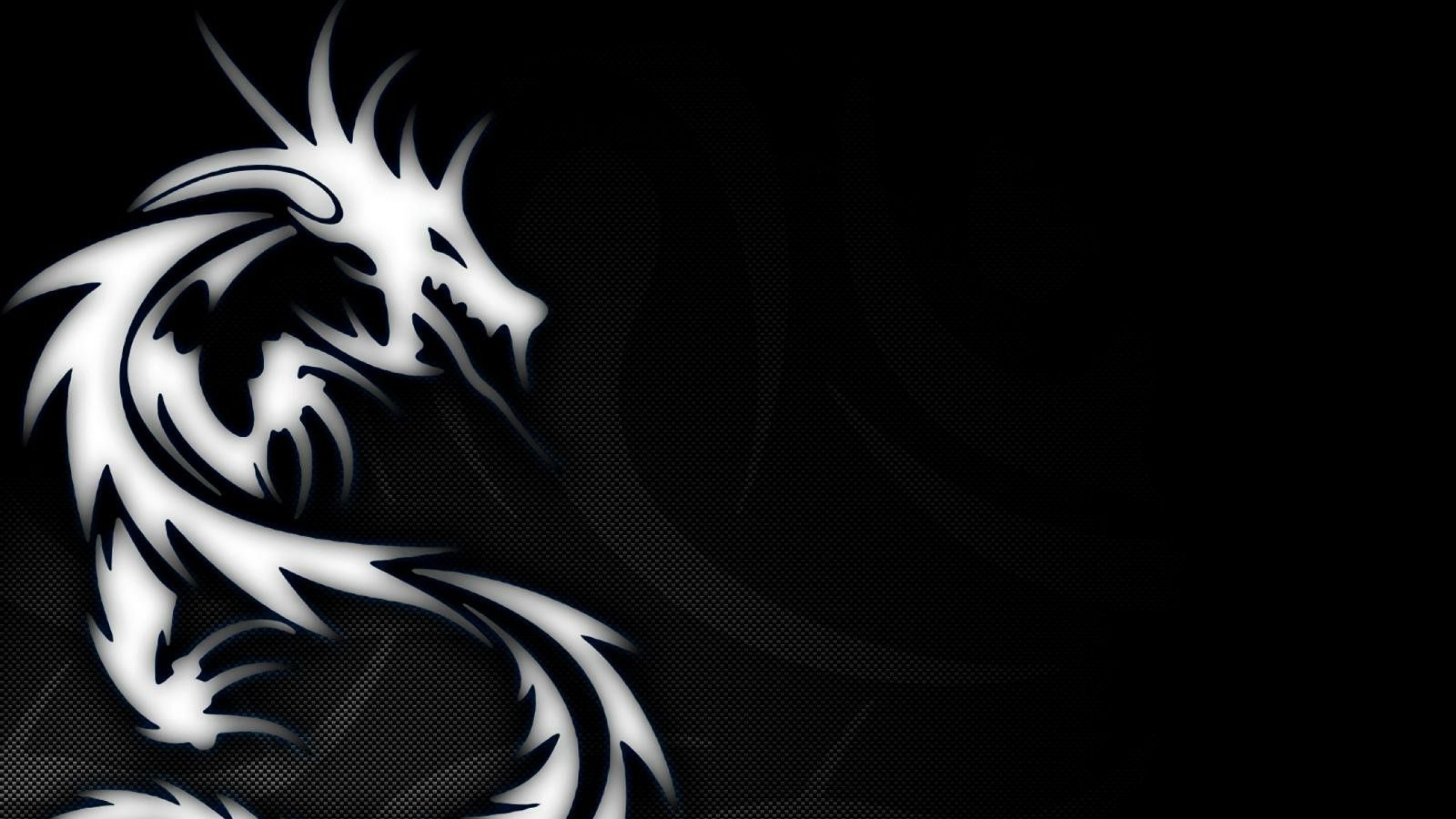 Dragon HD Wallpapers (77+ images)