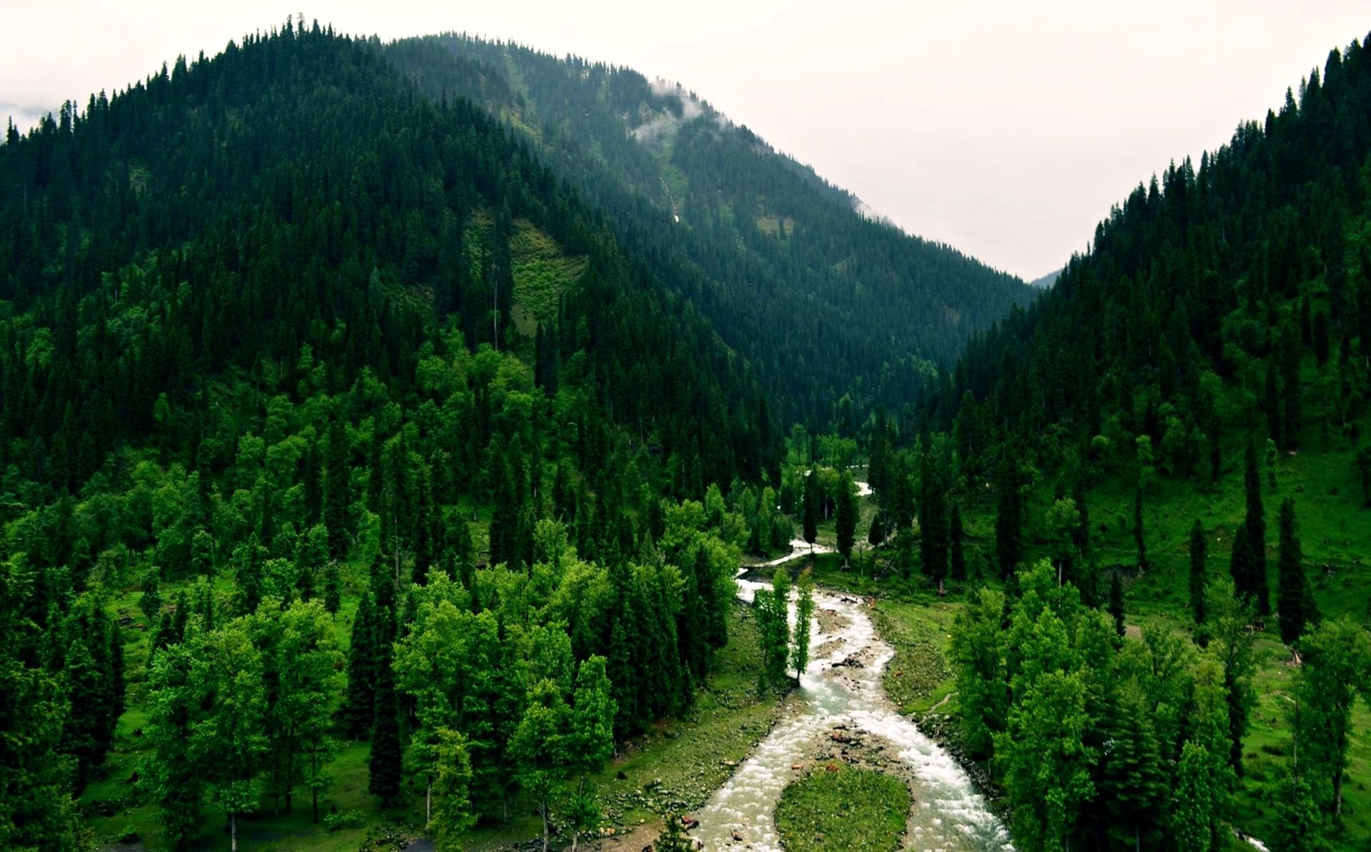1920x1193 Erde/Natur - Wald Landschaft Fluss Baum Erde/Natur Pakistan Kashmir Tao-Butt