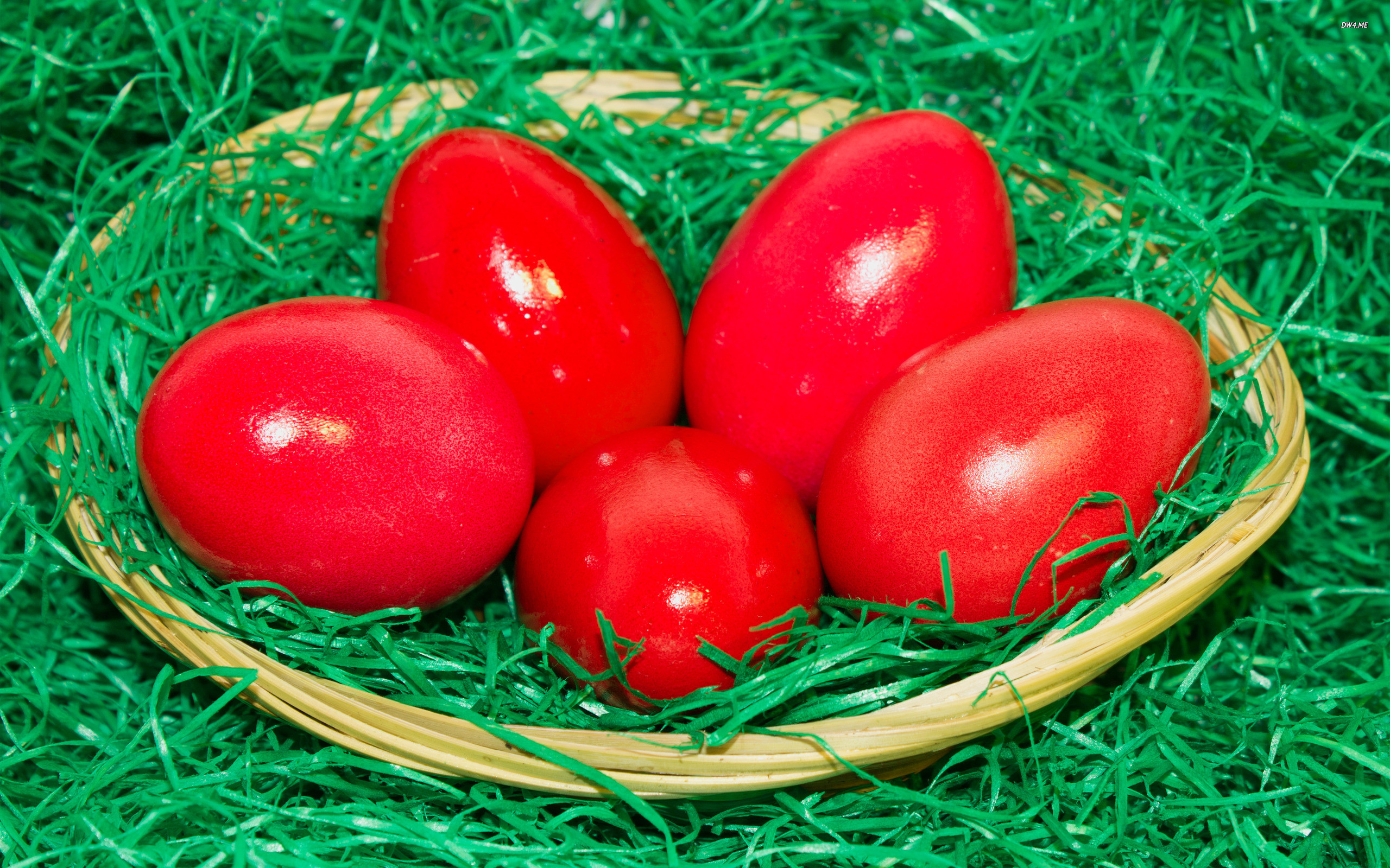 2560x1600 Easter Red Eggs