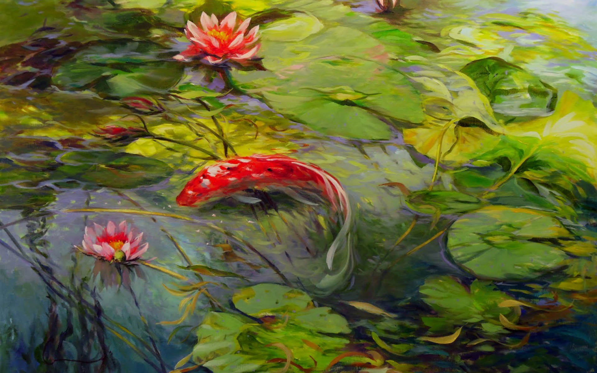1920x1200 Lovely Koi Lily Pond wallpapers | Lovely Koi Lily Pond stock photos