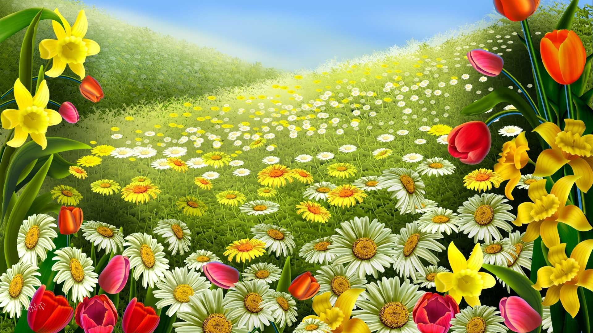 1920x1080 Colorful flowers Spring desktop backgrounds | Wallpaperloves