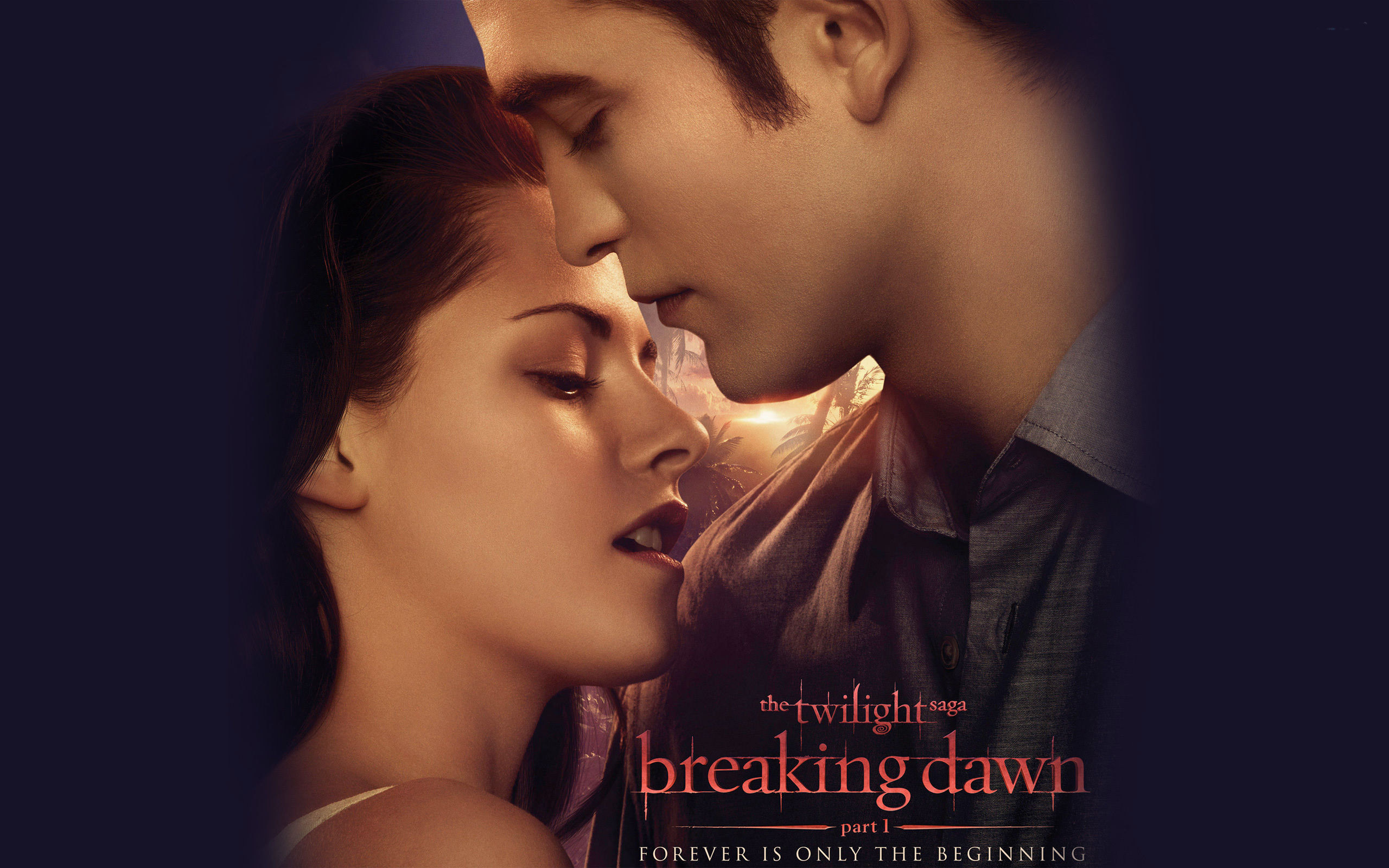 2560x1600 Twilight: Breaking Dawn Part I Wallpaper – 12“ title=