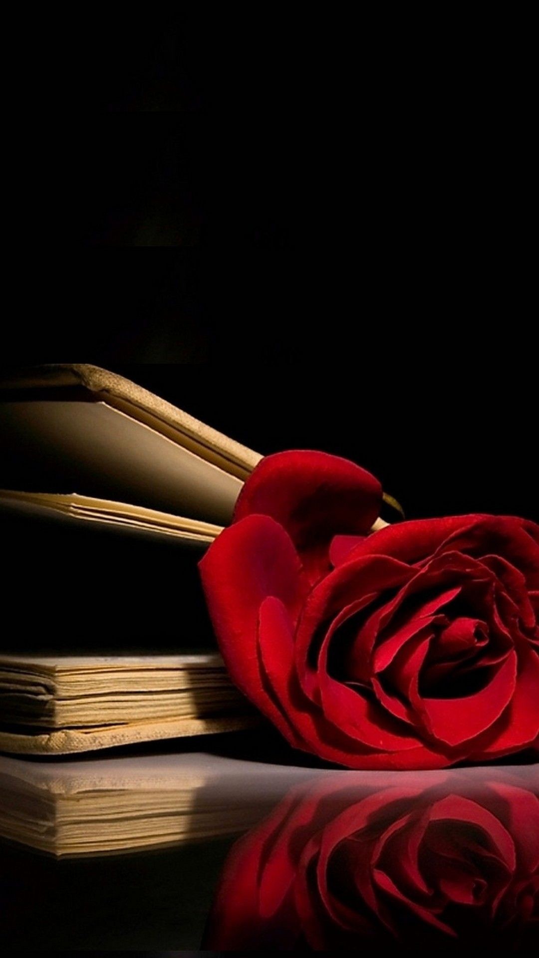 1080x1920 Red Rose Wallpaper iPhone | Best HD Wallpapers