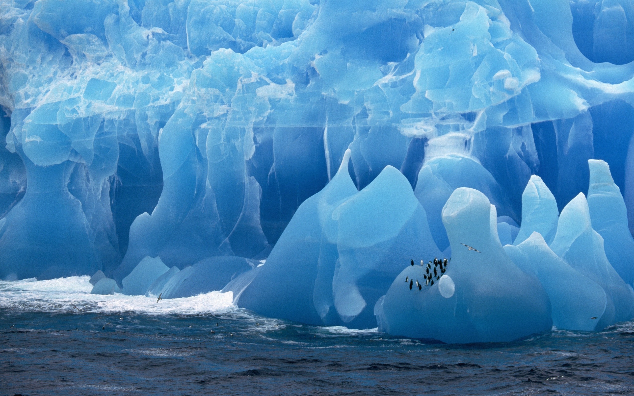 2560x1600 antarctica iceberg birds penguins sea Wallpapers HD / Desktop and Mobile  Backgrounds