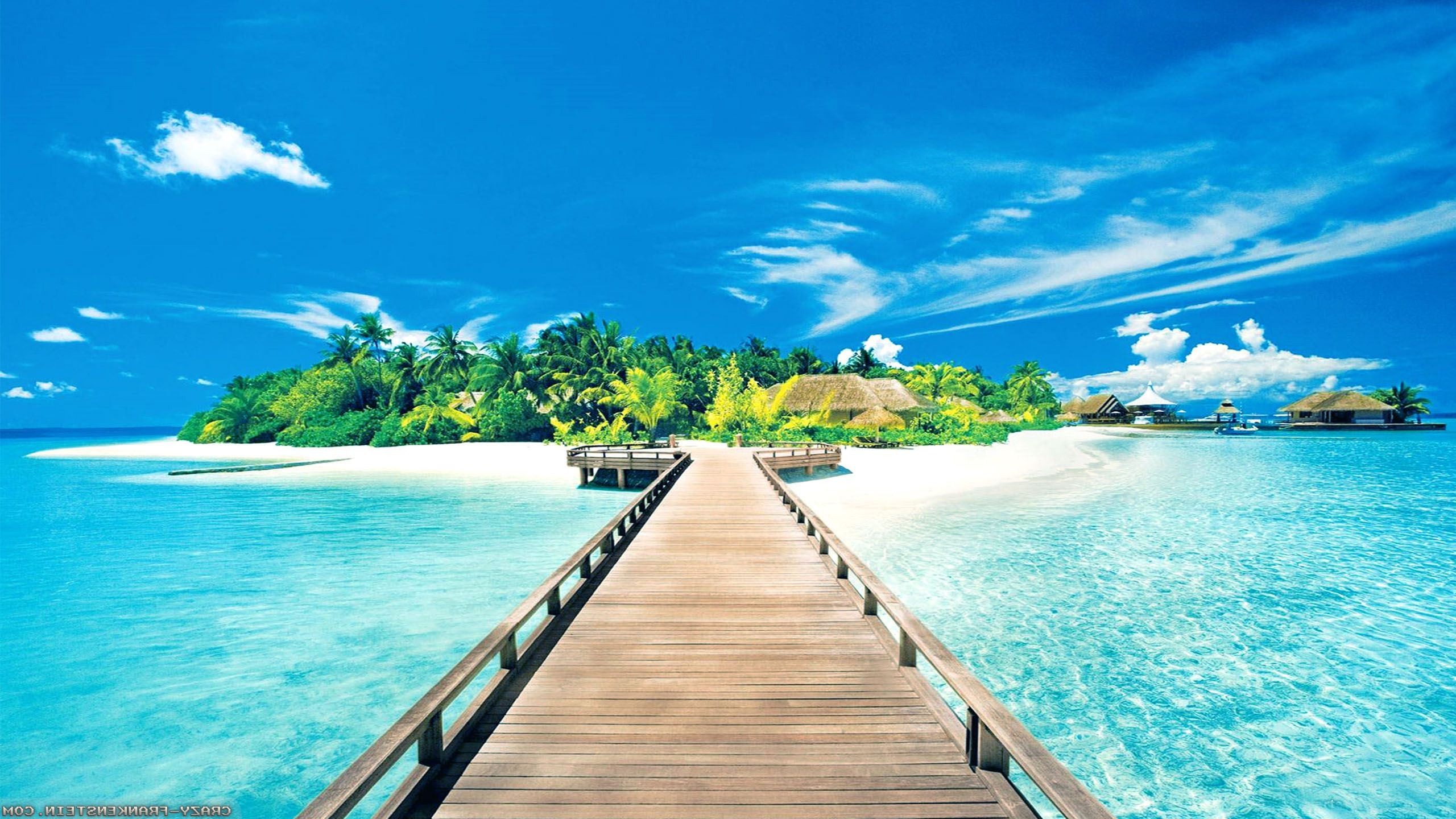 2560x1440  Tropical Island Wallpaper - Android Apps on Google Play .
