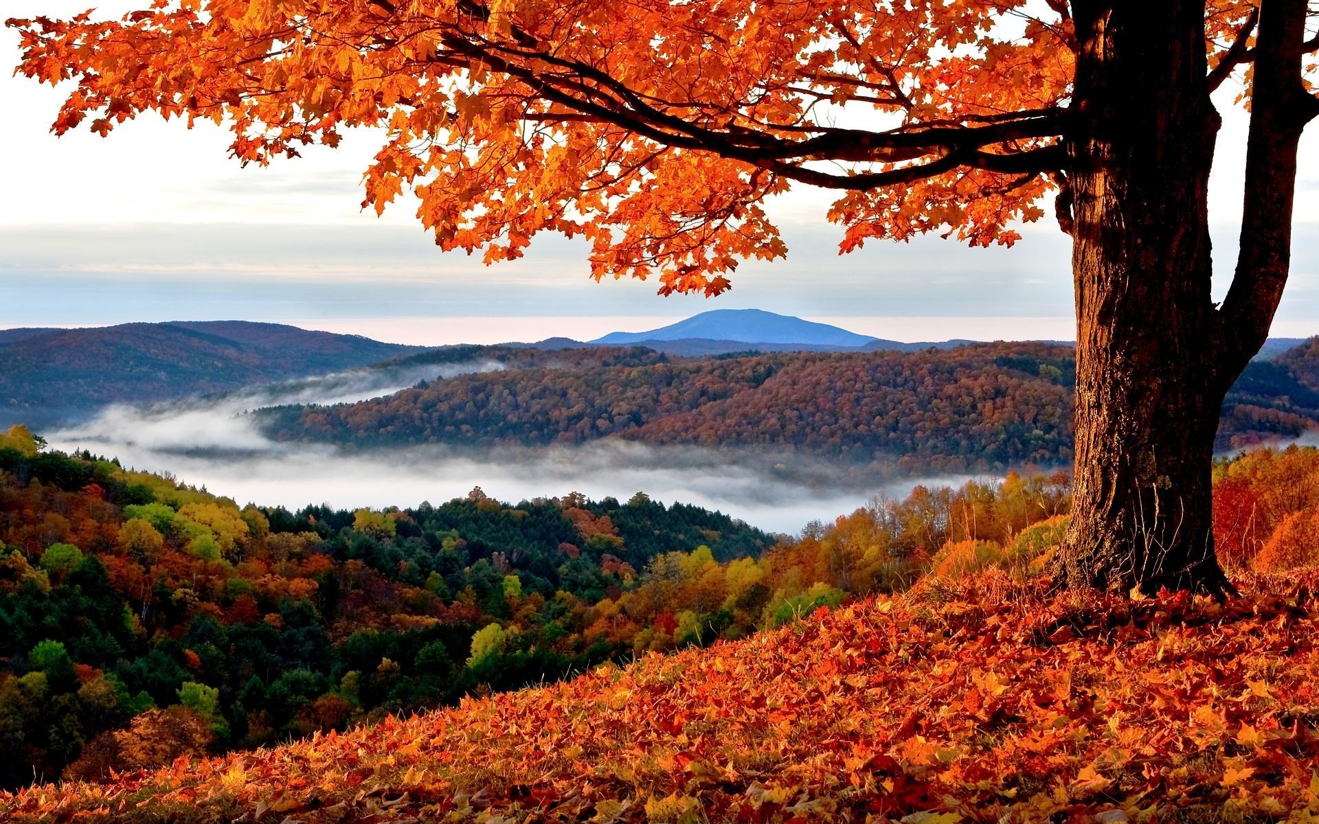 1920x1200 autumn hd widescreen wallpapers for laptop