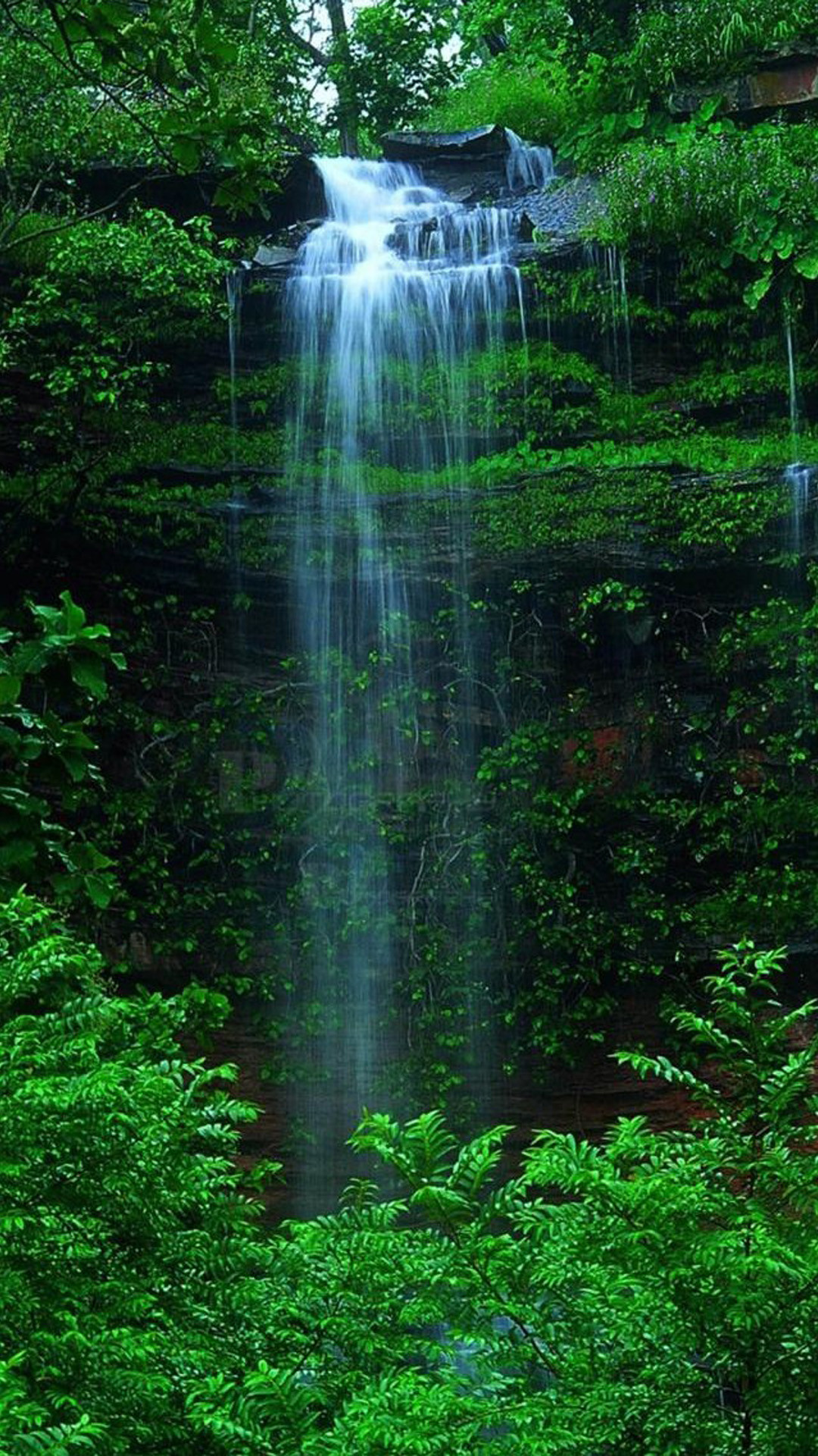 1080x1920 Nature Forest Waterfall iPhone 6 wallpaper