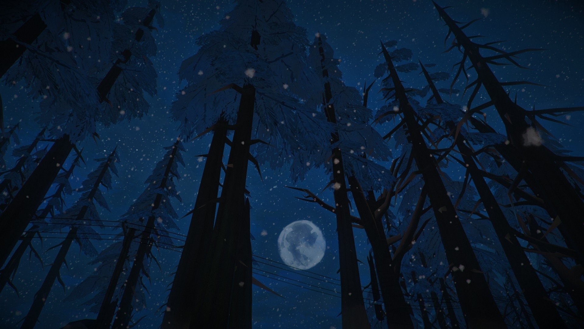 1920x1080 Video Game - The Long Dark Pine Wood Forest Night Moon Wallpaper