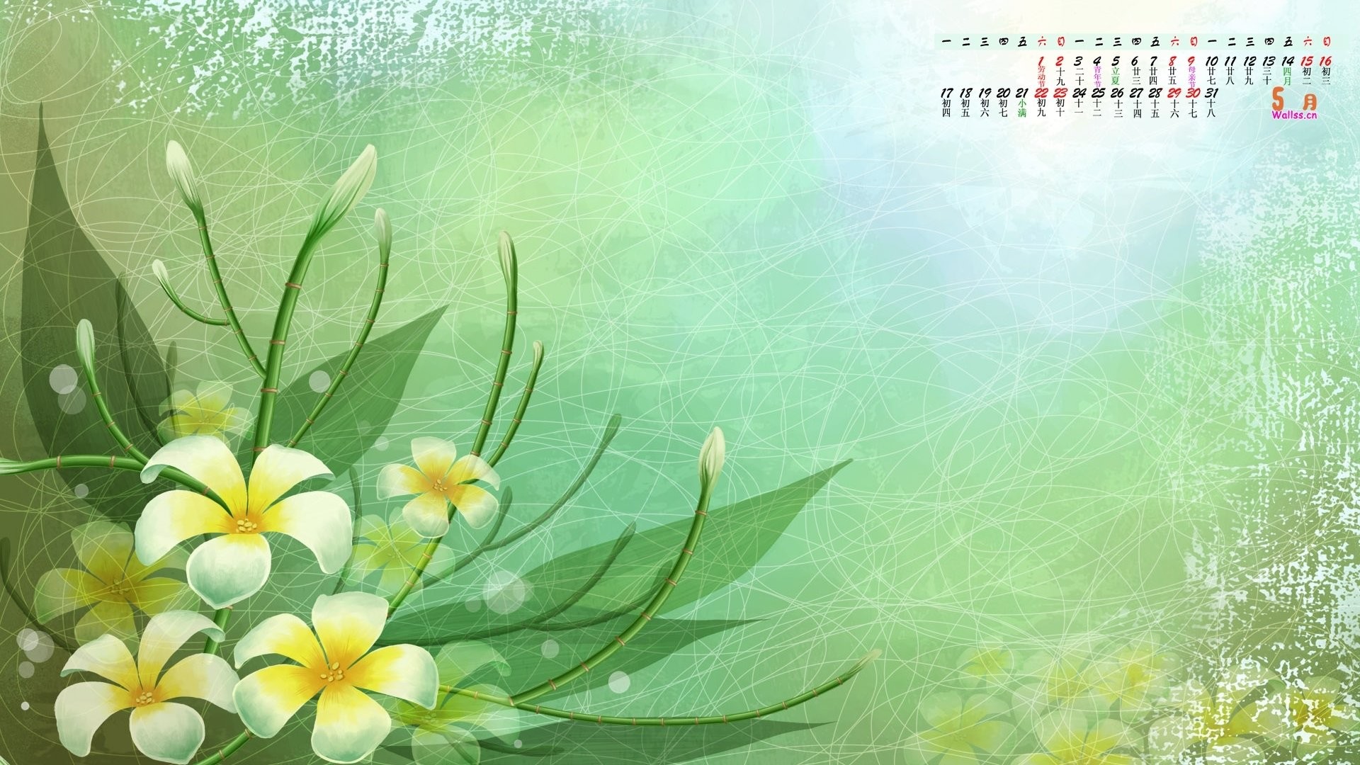 1920x1080 Flower Background Wallpaper
