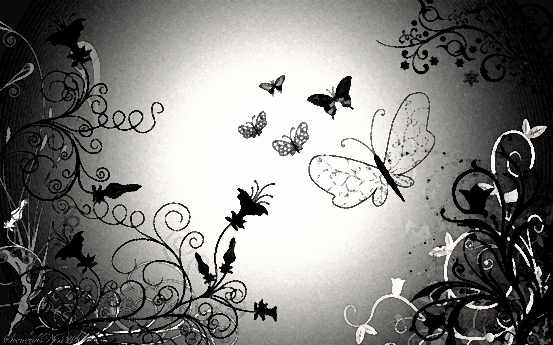 1920x1200 Download. Â« Black Butterfly Desktop Background Wallpaper