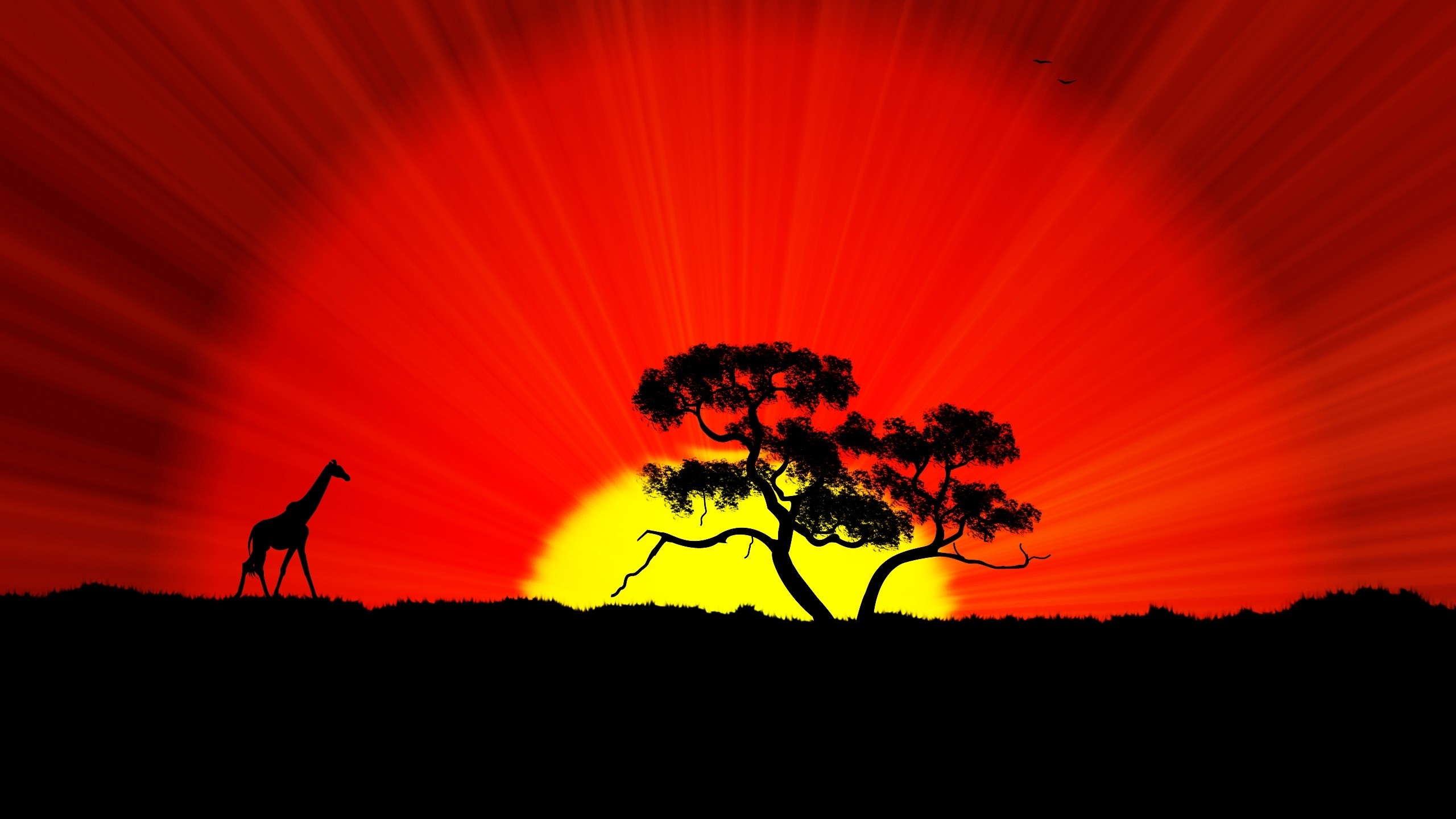 2560x1440 African Sunset Silhouette Giraffe Tree Crbeno Sky Sun With Gold Color Hd  Wallpaper : Wallpapers13.com