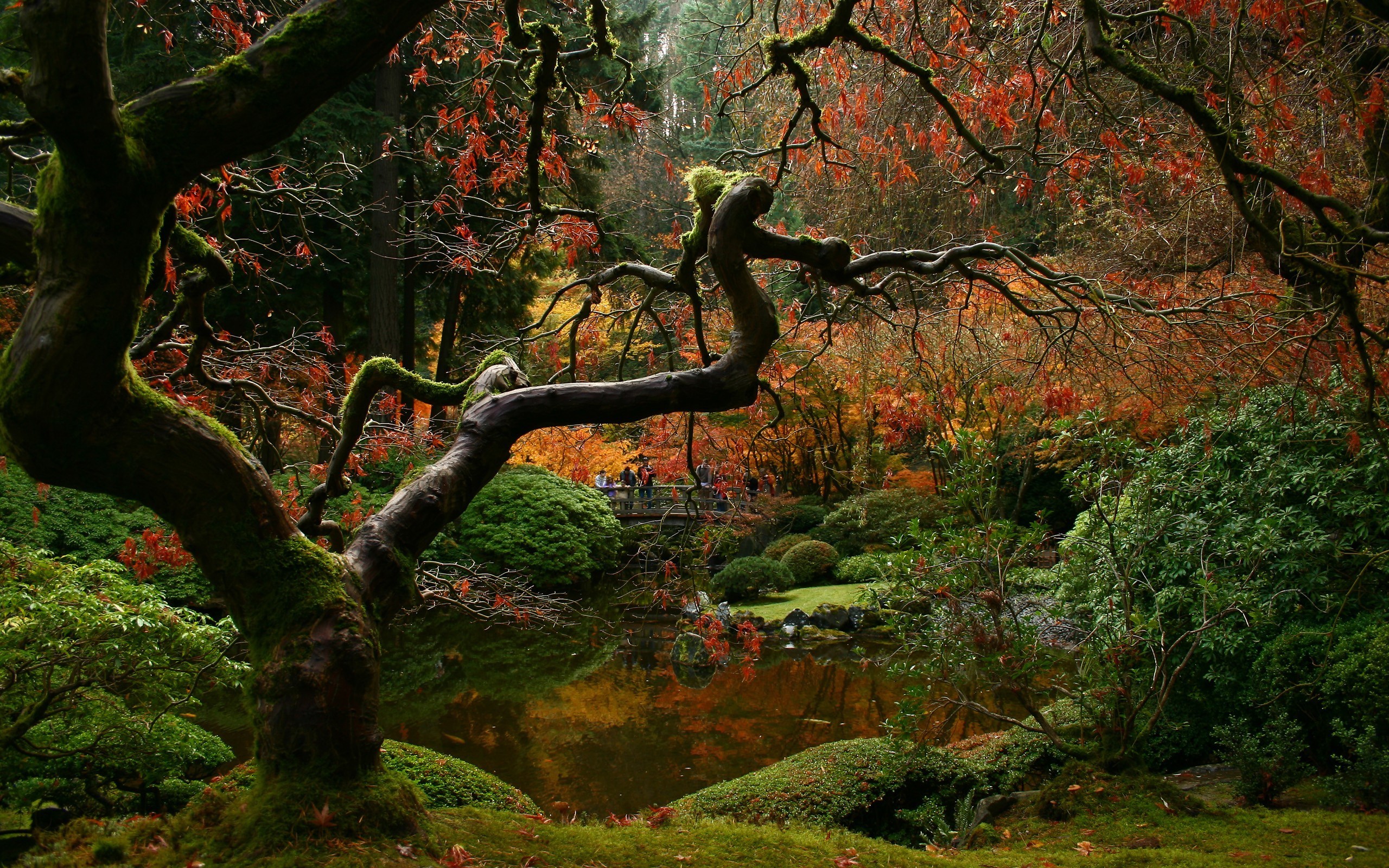 2560x1600 Japanese gardens trees wallpaper