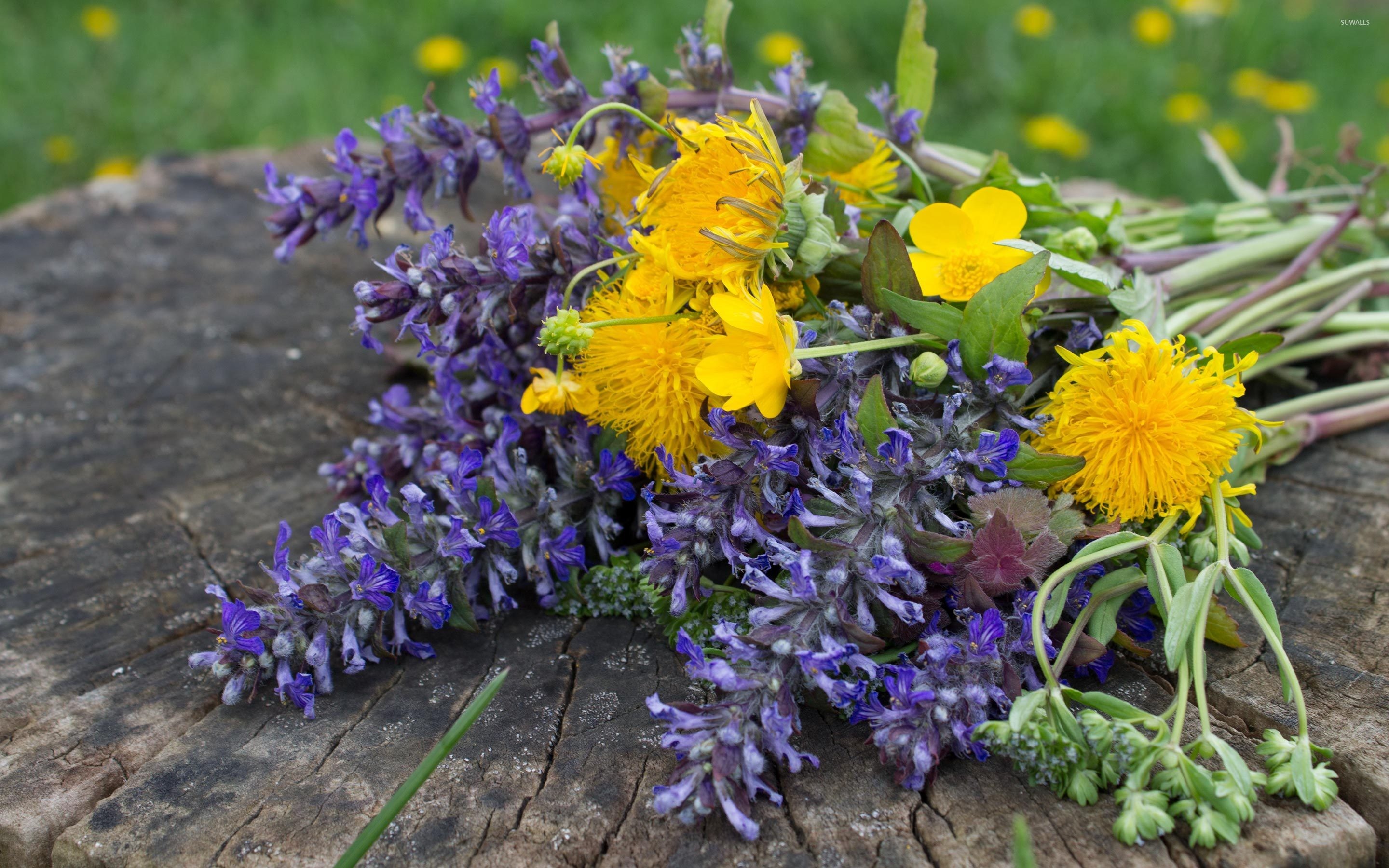 2880x1800 Yellow and purple wildflower bouquet wallpaper