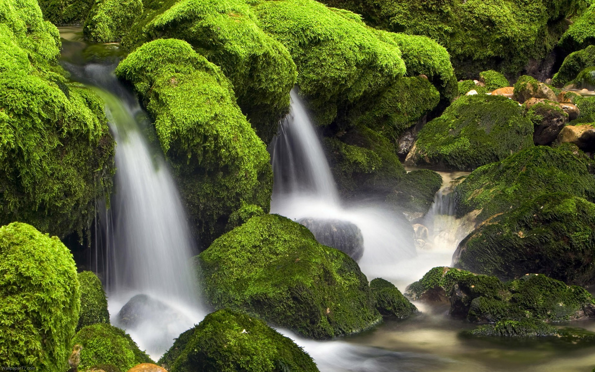 1920x1200 Green Waterfalls | Paesaggi â° Scorci â Cascate (Waterfalls) | Pinterest