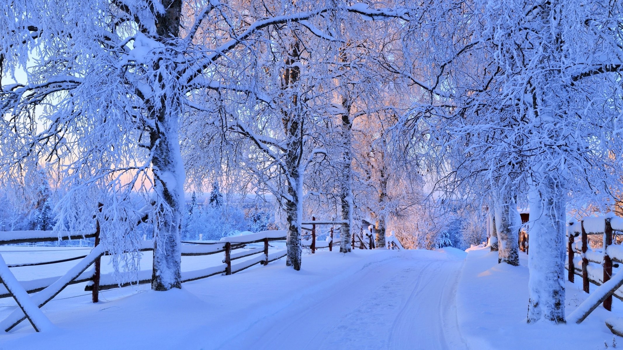2133x1200 nature winter snow road tree forest sky landscape forest road nature winter  sky white beautiful cool
