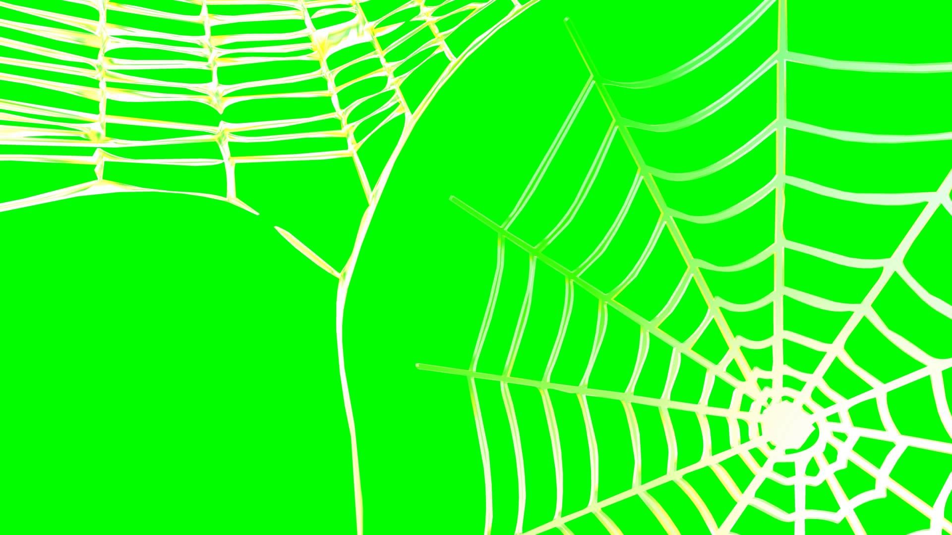 1920x1080 4K Spider Web Rotating Background Animation