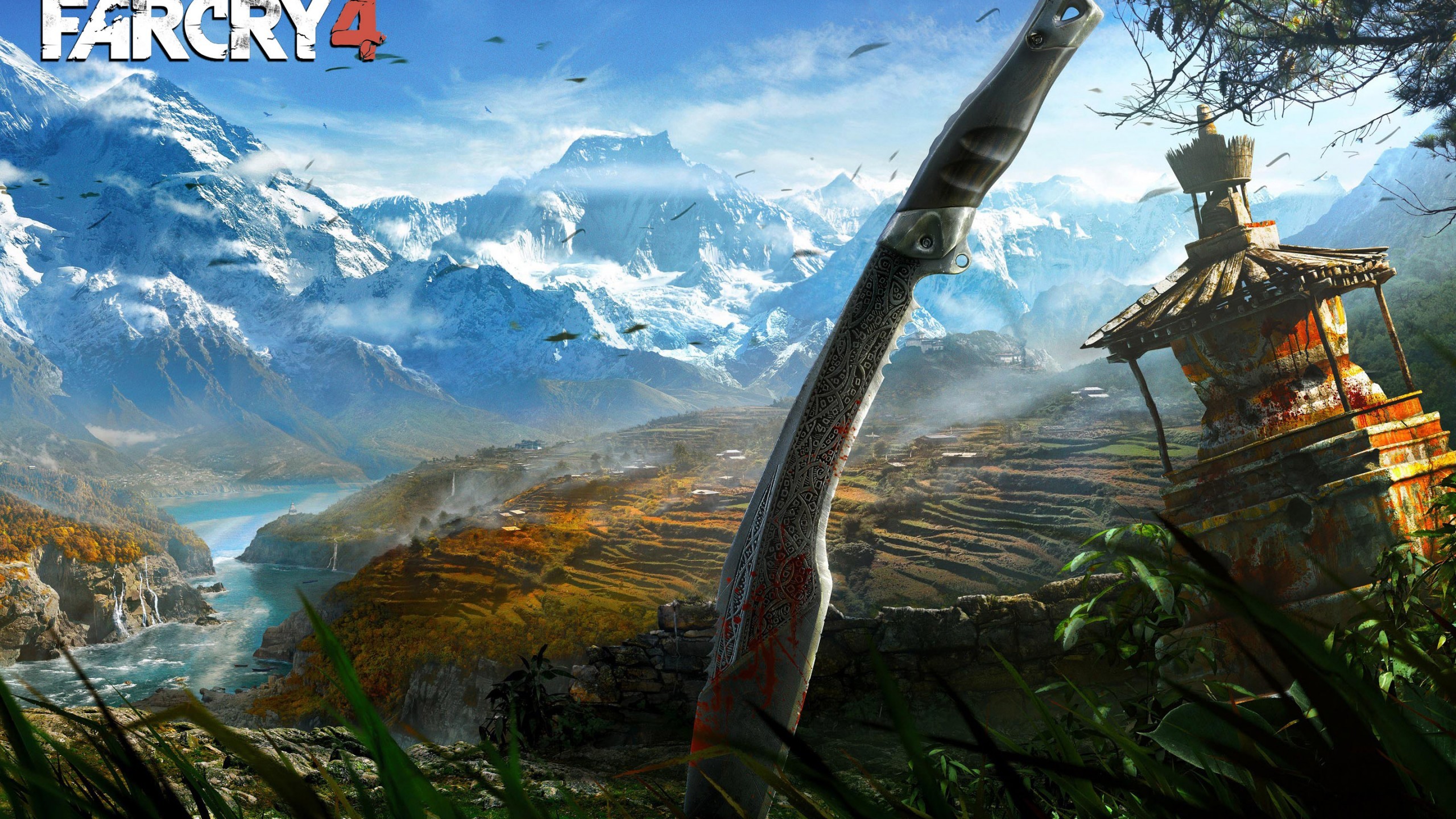 2560x1440 Far Cry 4 Poster, vanquish,  HD Wallpaper and FREE Stock .