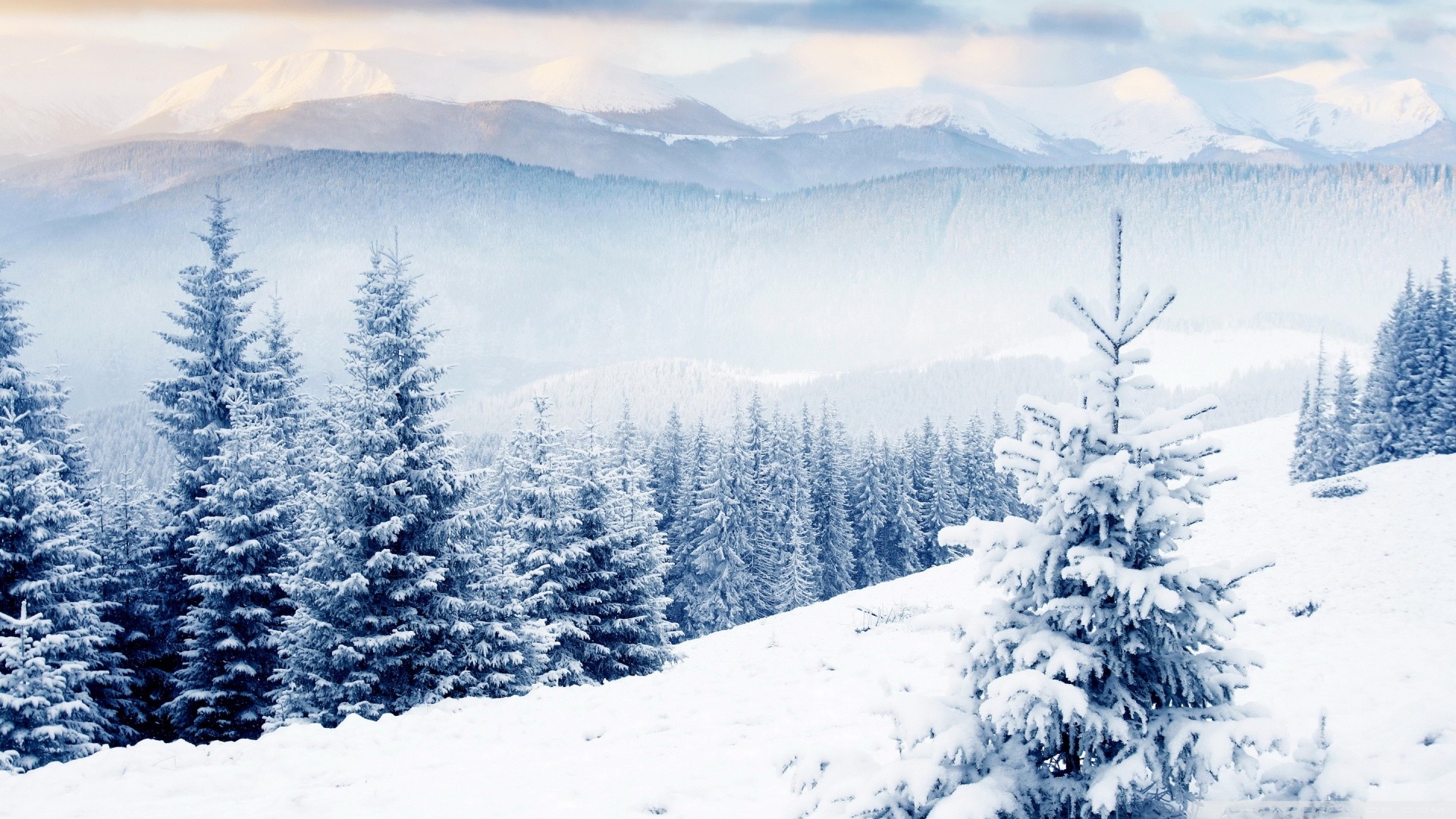 1920x1080 Top Winter Landscape Wallpaper HD Of Winter Scenes Winter Scenes Desktop Backgrounds  Wallpapers)