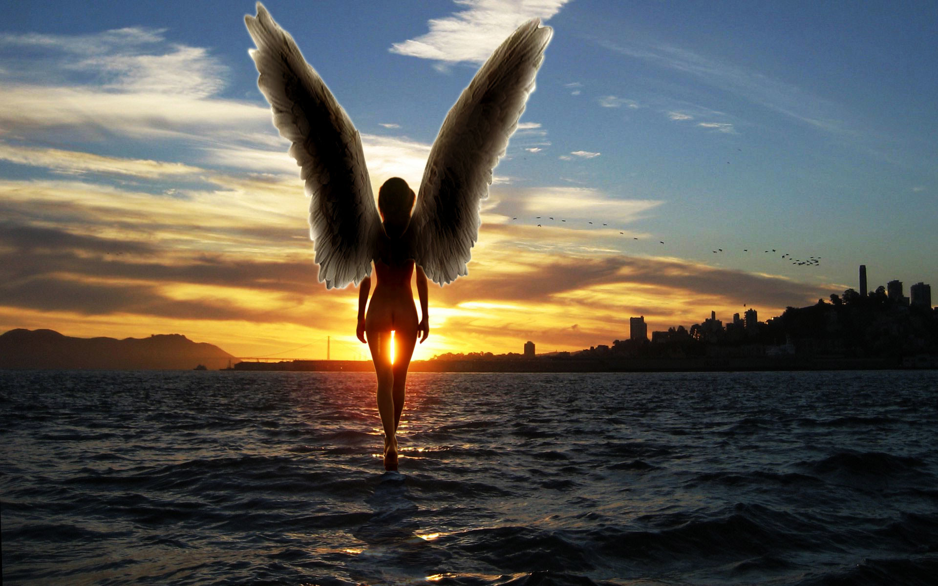 Oceana angel Before you