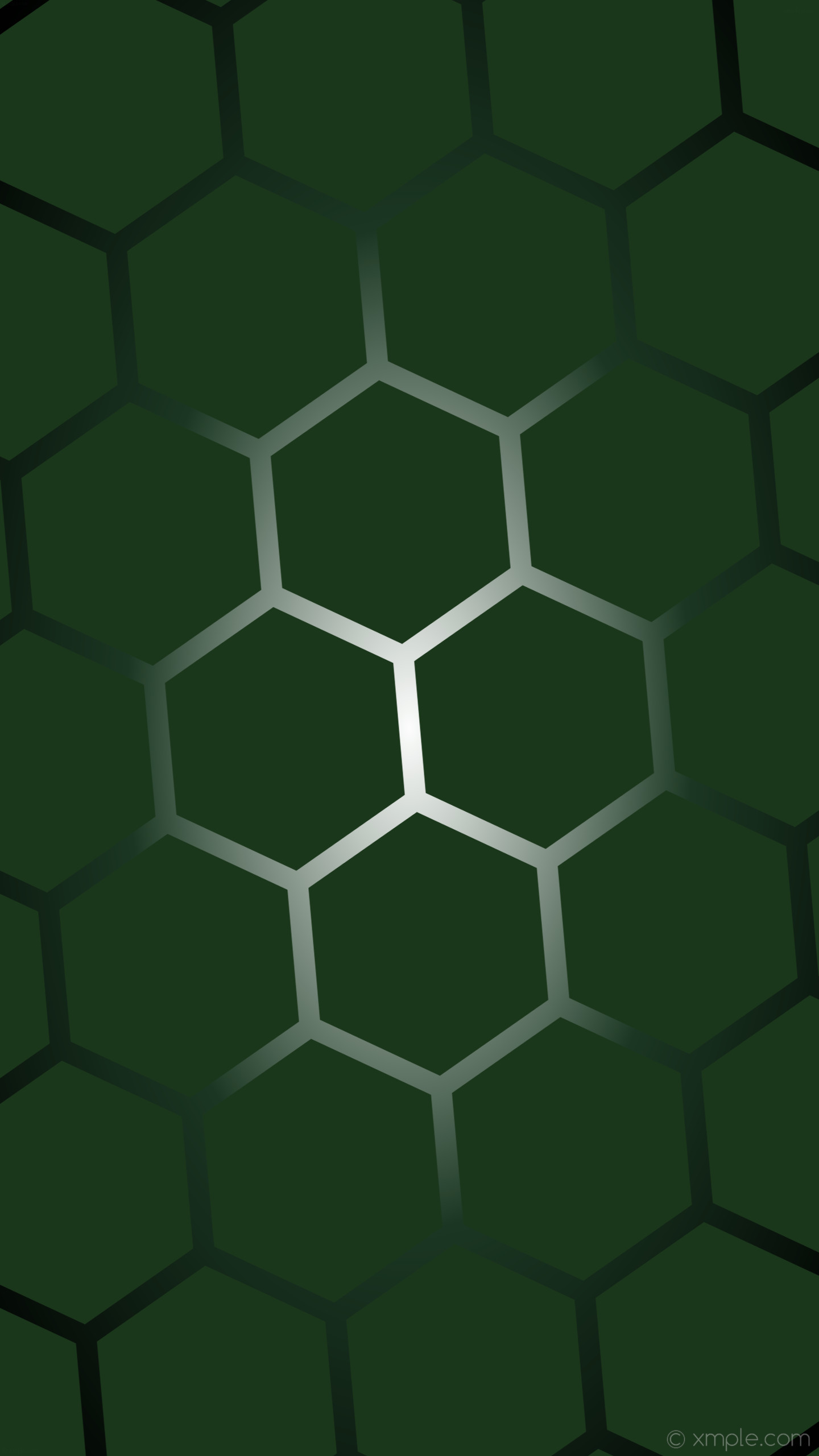 1440x2560 wallpaper gradient white black hexagon turquoise glow green dark green dark  turquoise #1b371b #ffffff