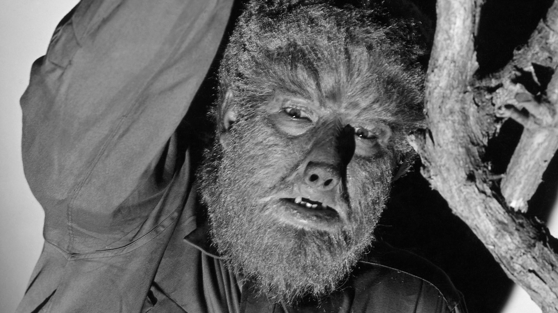1920x1080 Universal Plans To Reboot The Wolf Man Again Â» Fanboy.com