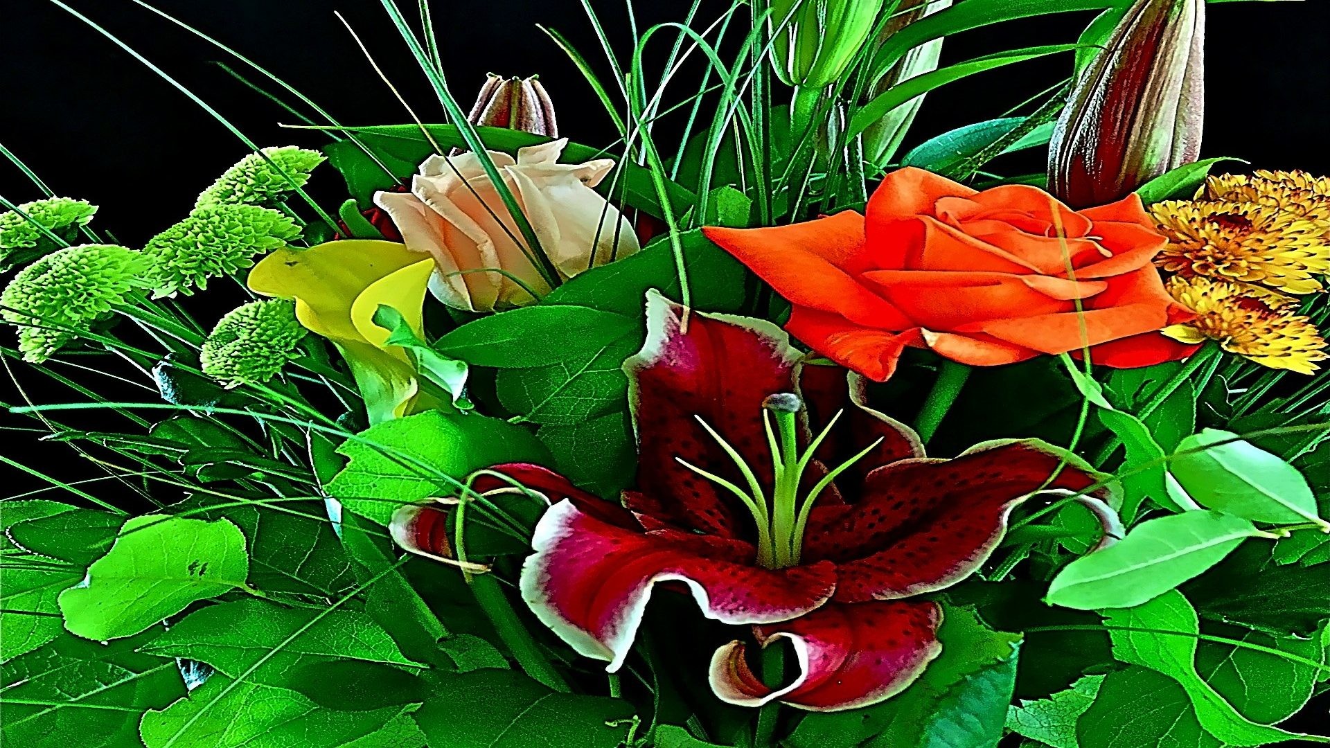1920x1080 Happy Wekend Beauty Romances Warm Colorful Roses Loving Caring Tulip Weekend  Desktop Flower Wallpaper Backgrounds