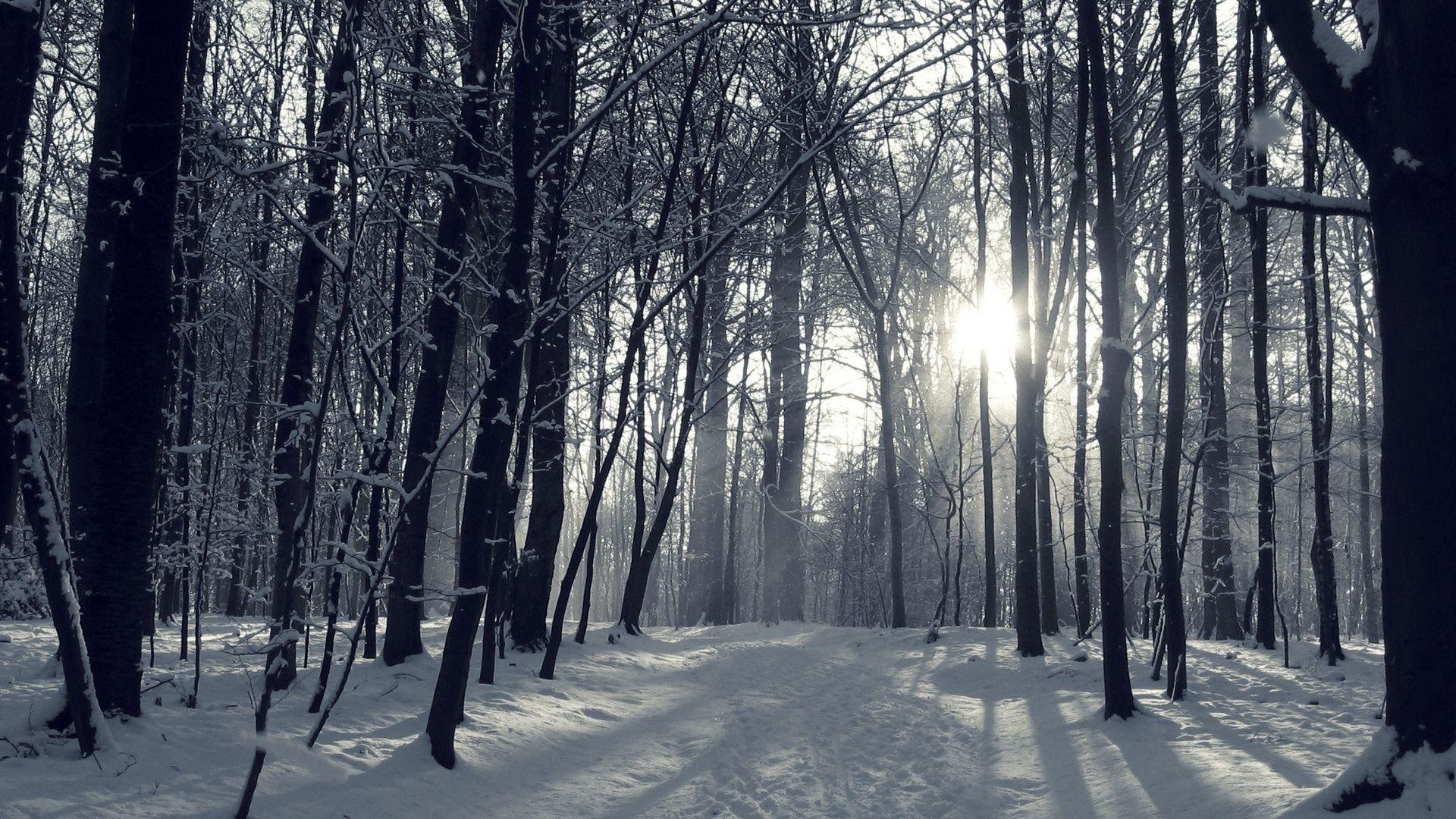1920x1080 ... Wallpaper Weekends: Stopping by the Snowy Woods for iPhone, iPad .