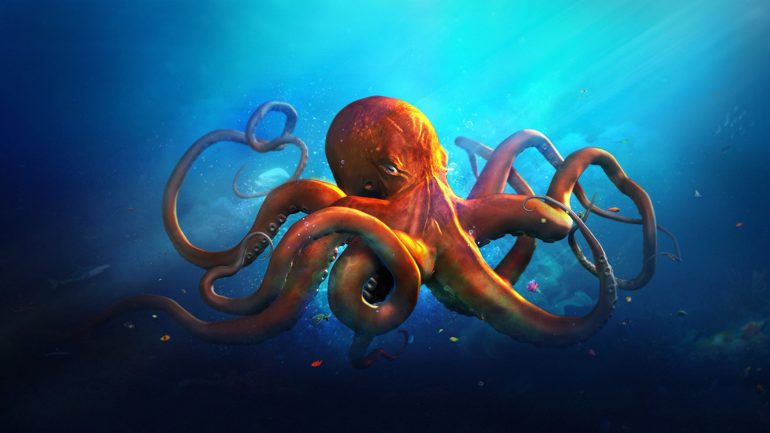 2560x1440 Animals octopus ocean sea fantasy artwork art wallpaper background .