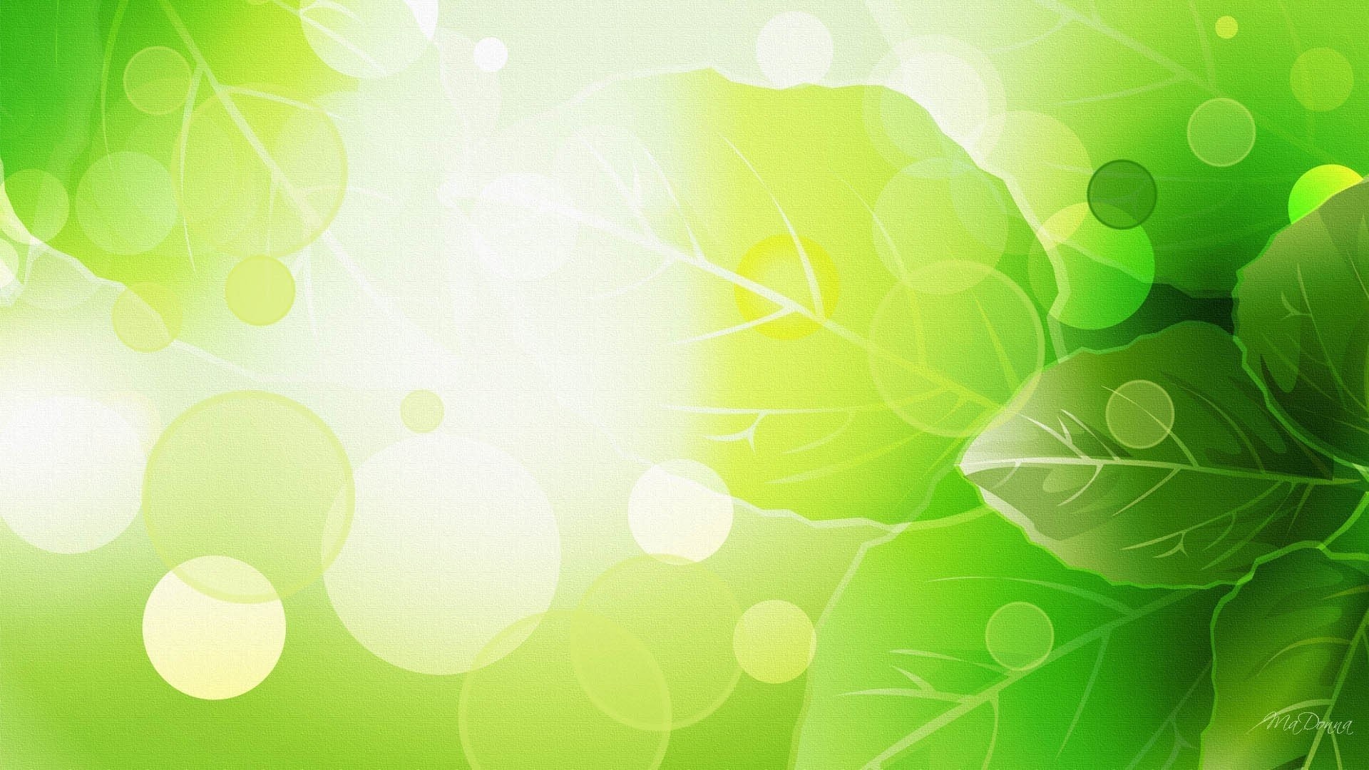 1920x1080 WallpapersWidecom Spring HD Desktop Wallpapers for