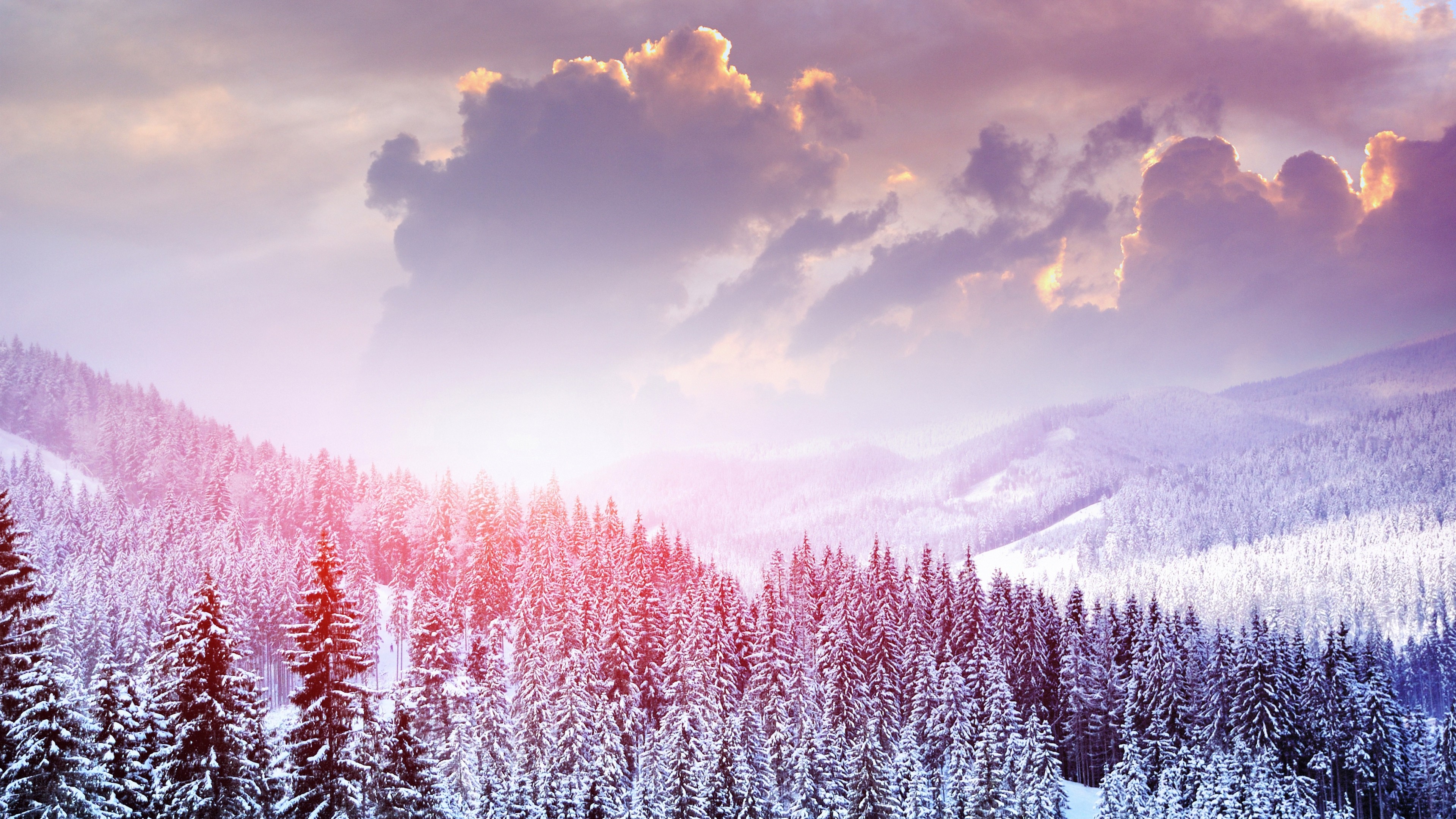 3840x2160 Winter Landscape Of Snow Forest Wallpaper
