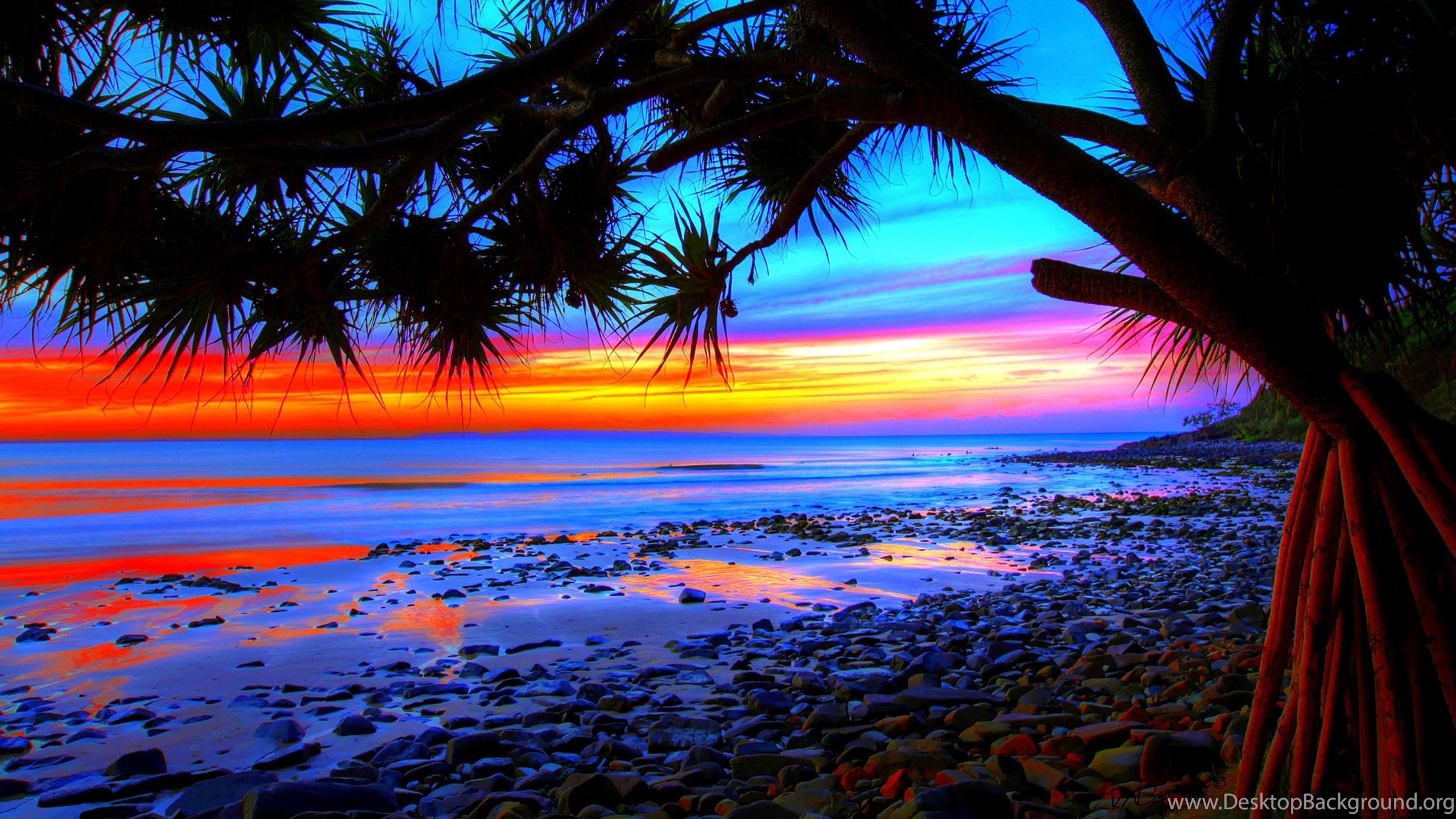 2560x1440 Tropical Beach Sunset Wallpapers 09, HD Desktop Wallpapers