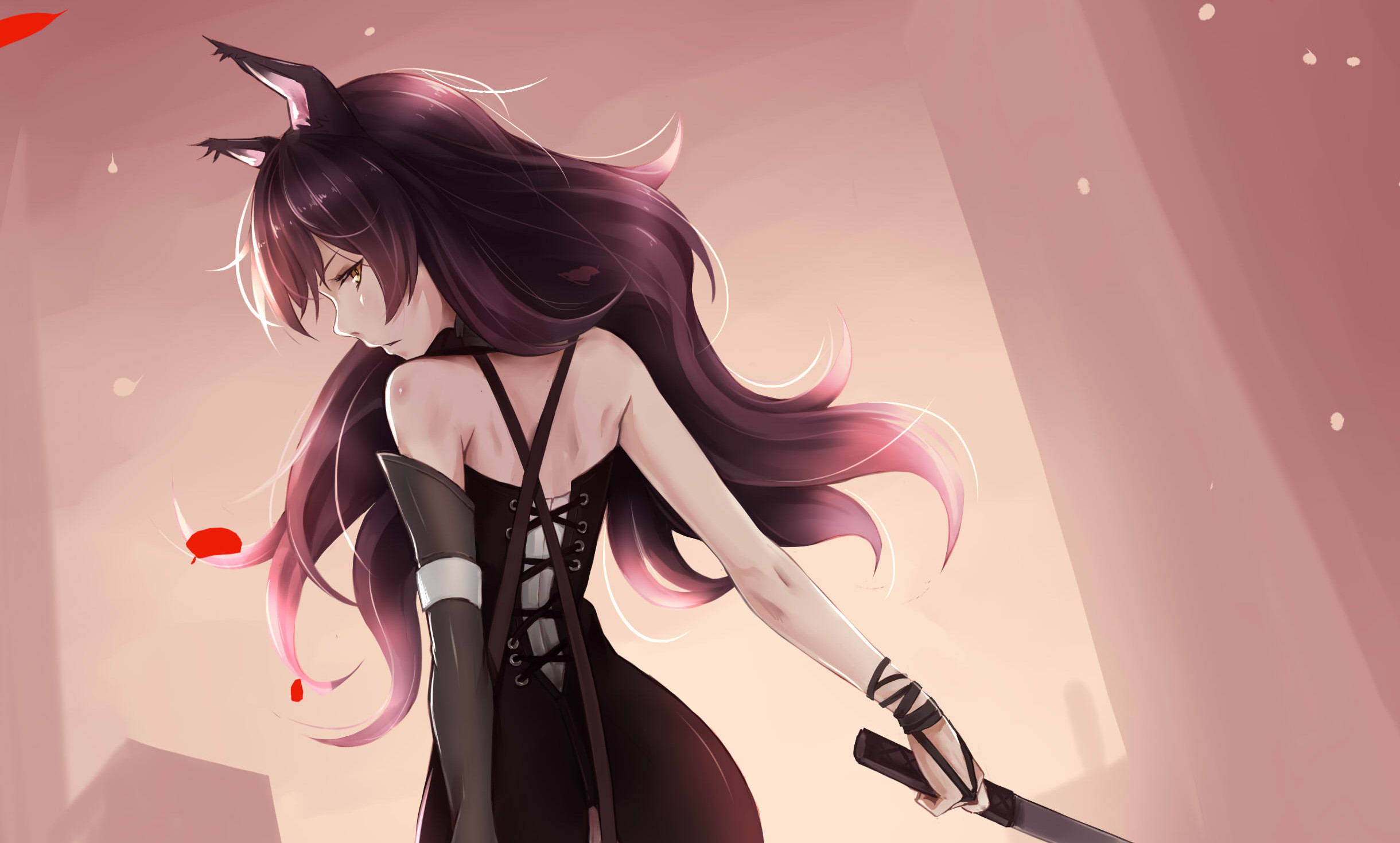 2440x1470 Anime - RWBY Animal Ears Blake Belladonna Girl Rear Sword Katana Long Hair  Purple Hair Wallpaper