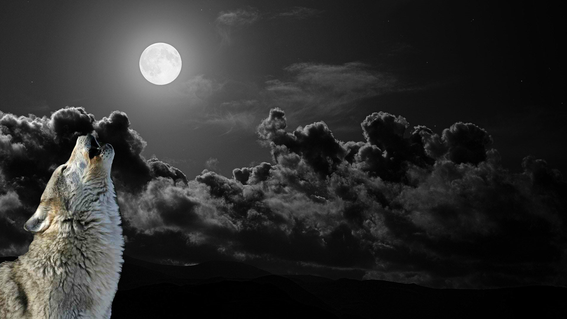 1920x1080 hd pics photos stunning attractive wolf howling night moon clouds hd  quality desktop background wallpaper