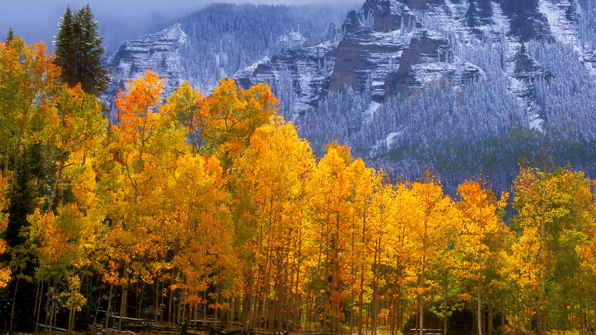 1920x1080 Fall Colors near Silver Jack Reservoir Colorado