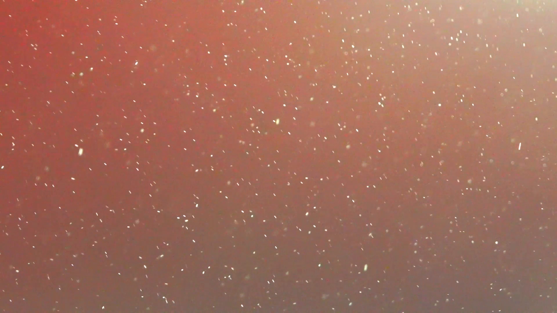 1920x1080 Subscription Library Flying particles 5 - floating dust background -  falling snowflake