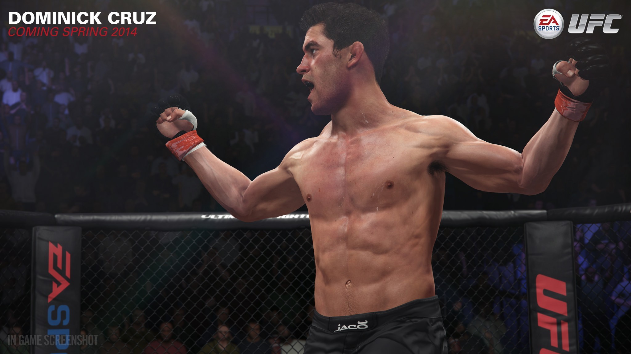 2048x1152 EA Sports UFC Screenshots - Dominick Cruz, Josh Thomson, Ronaldo Souza &  Nate Diaz
