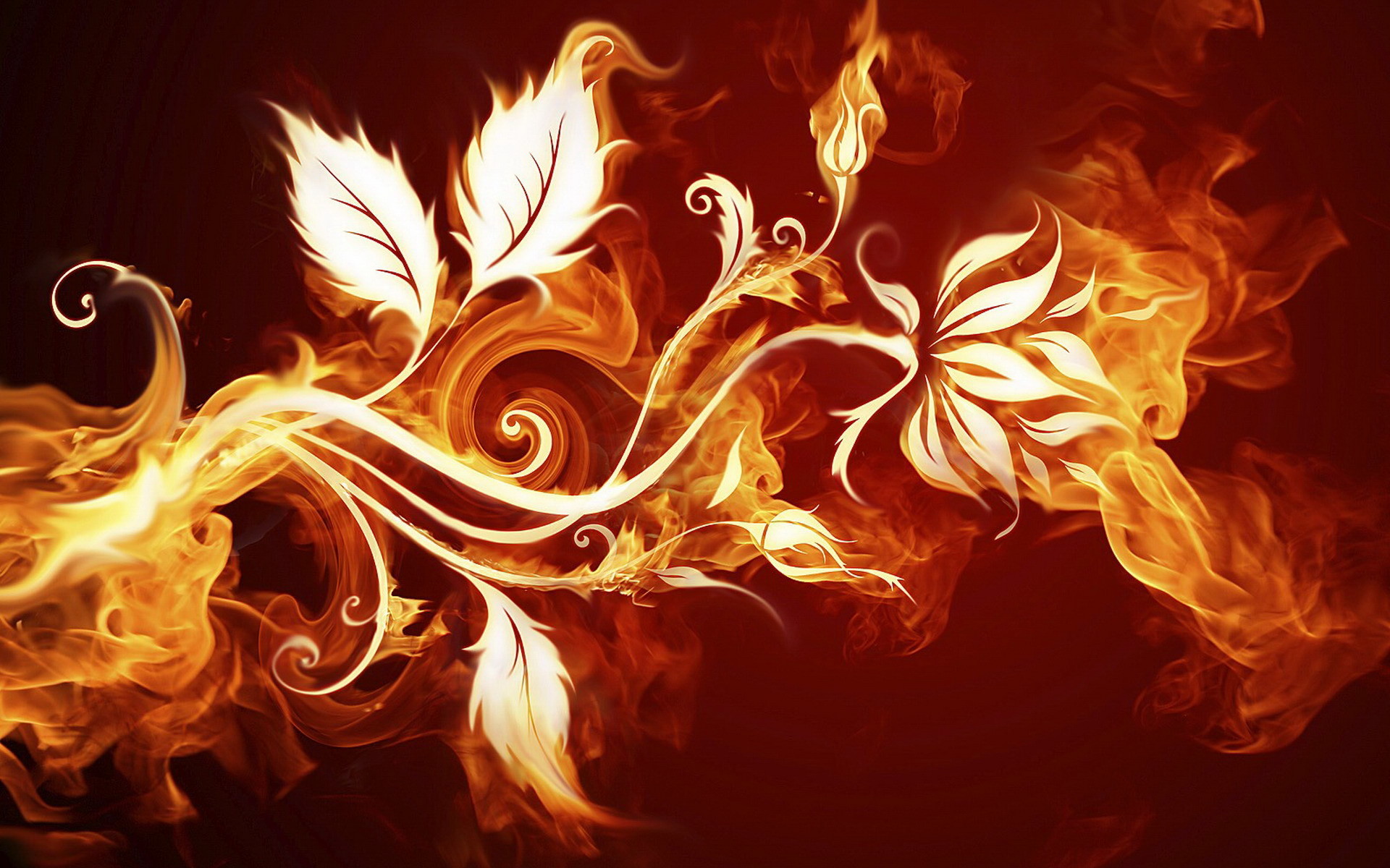 1920x1200 abstract fire leaves and flowers wallpaper for desktop hd desktop wallpapers  amazing download apple background wallpapers