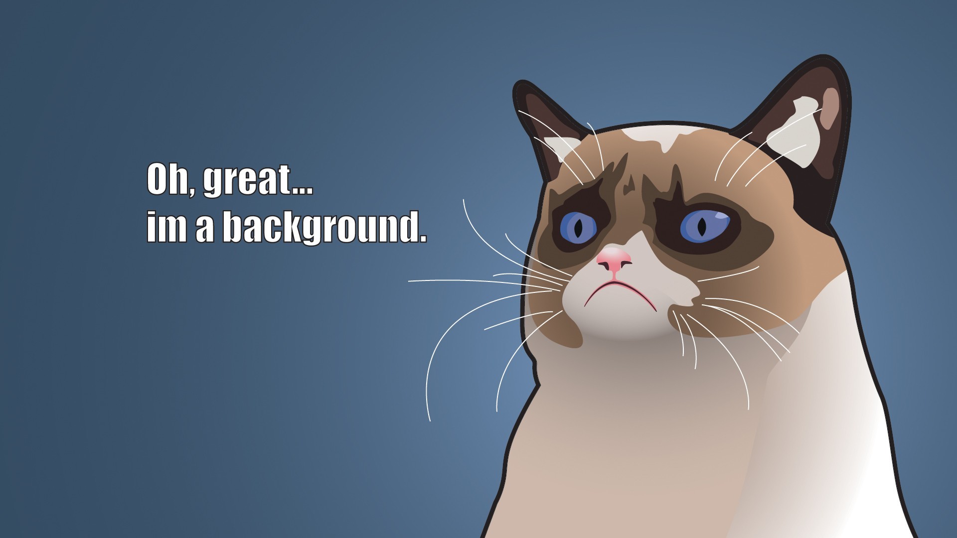 1920x1080  hilarious wallpapers for desktop grumpy cat cartoon
