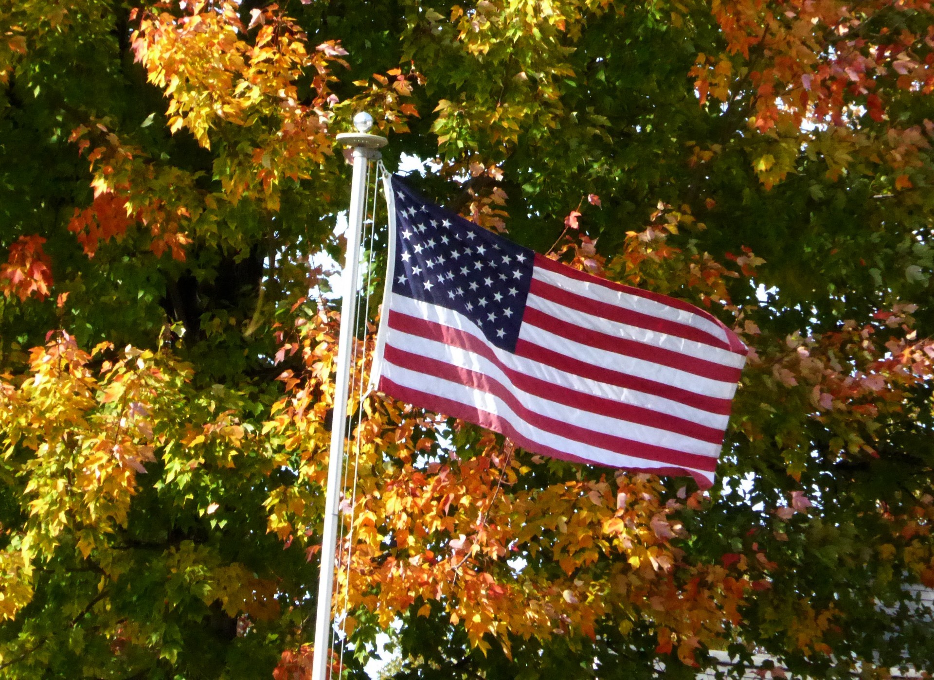 1920x1398 American flag foliage background
