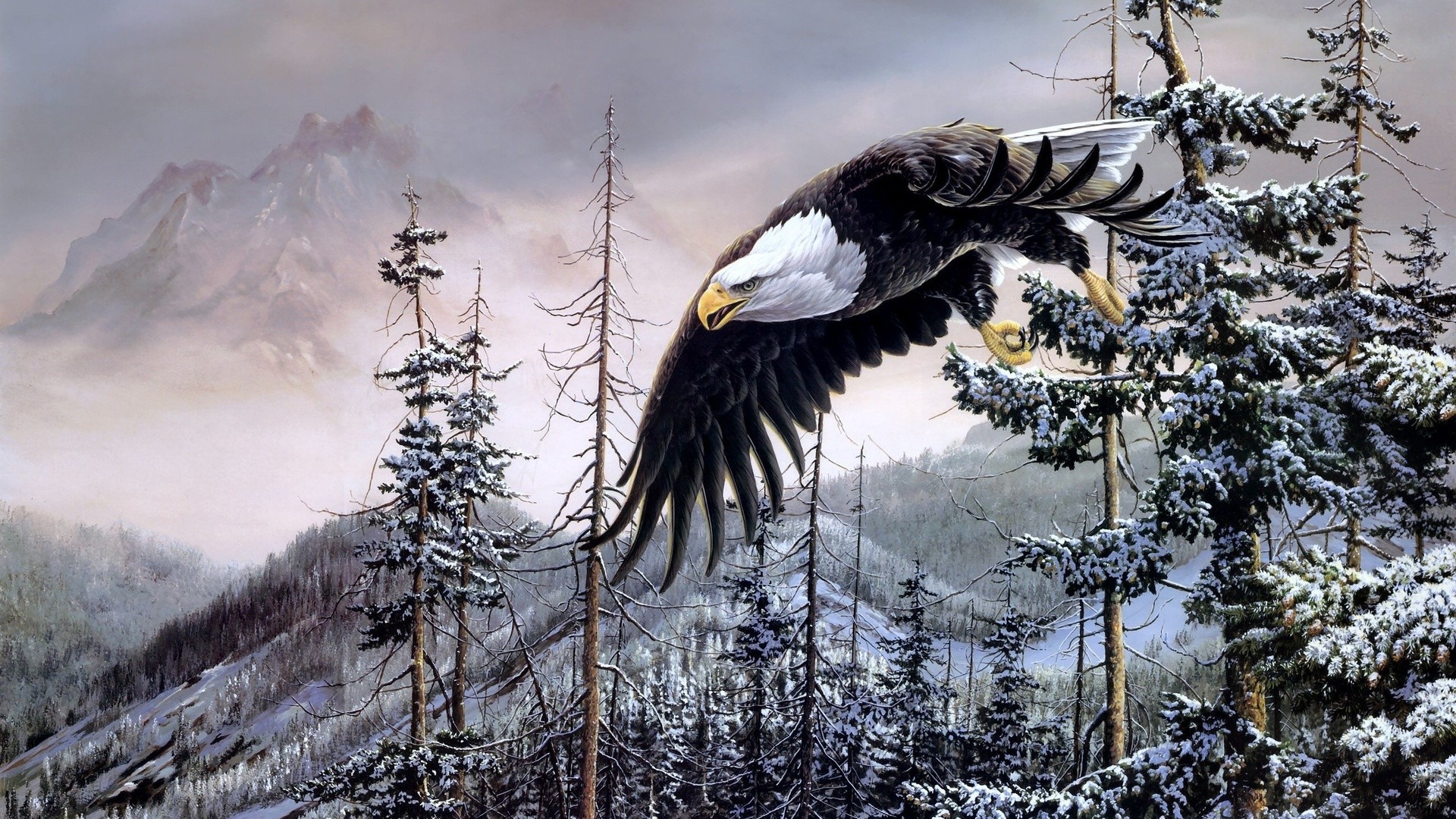 1920x1080 ... bald eagle wallpapers hd backgrounds images pics photos free ...