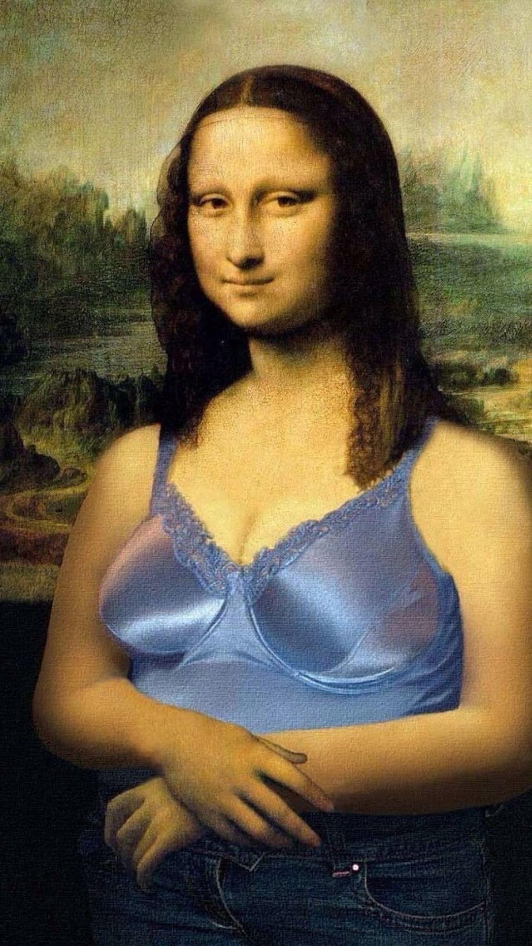 1080x1920 Click here to download  pixel Funny Mona Lisa Android Best  Wallpaper