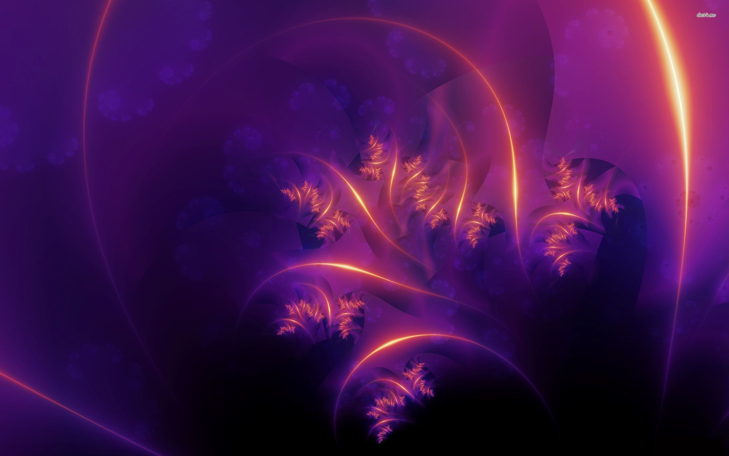 2560x1600 ... Neon pink feathers wallpaper  ...
