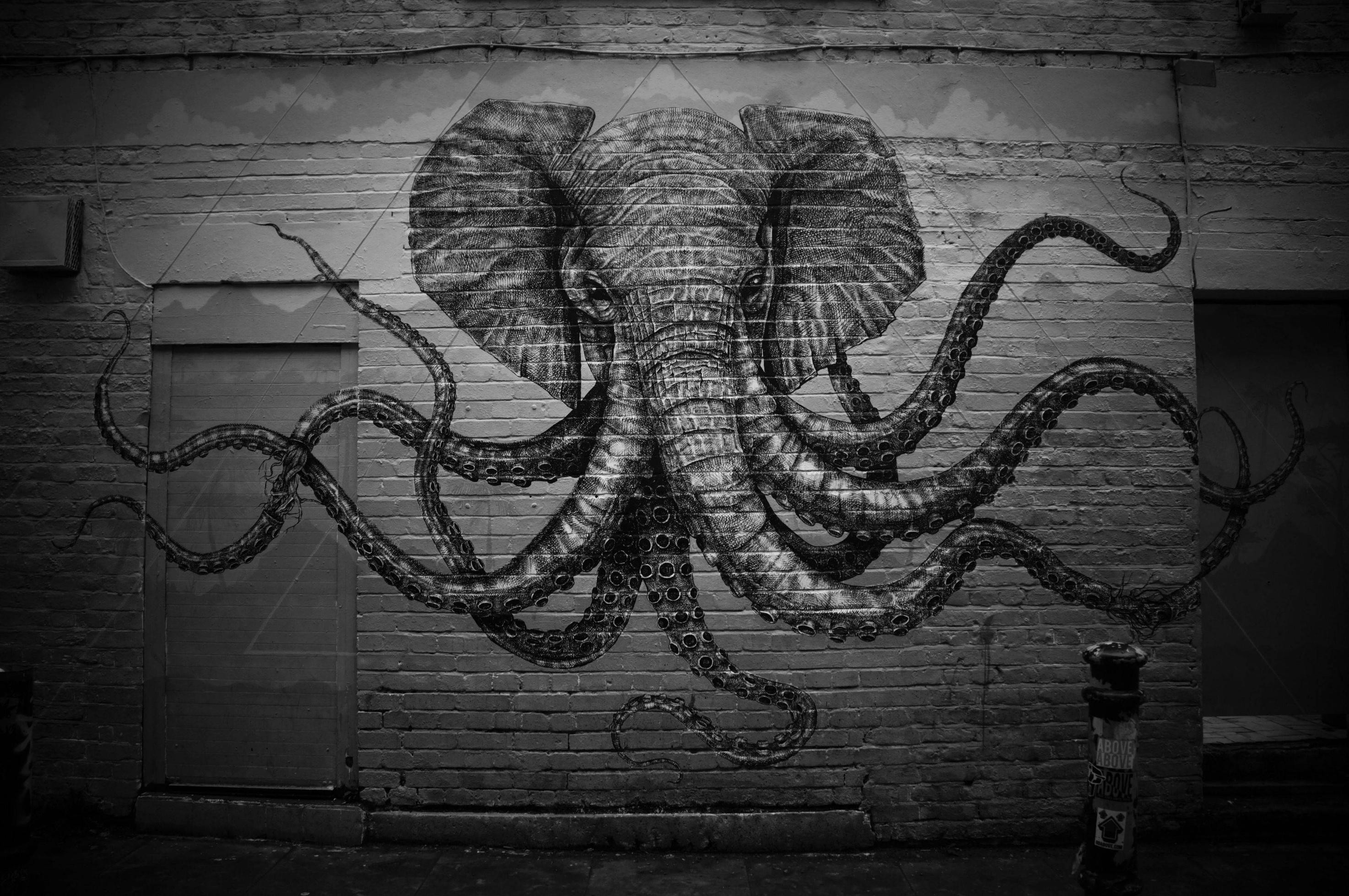 2947x1958 wallpaper graffiti Â· elephant